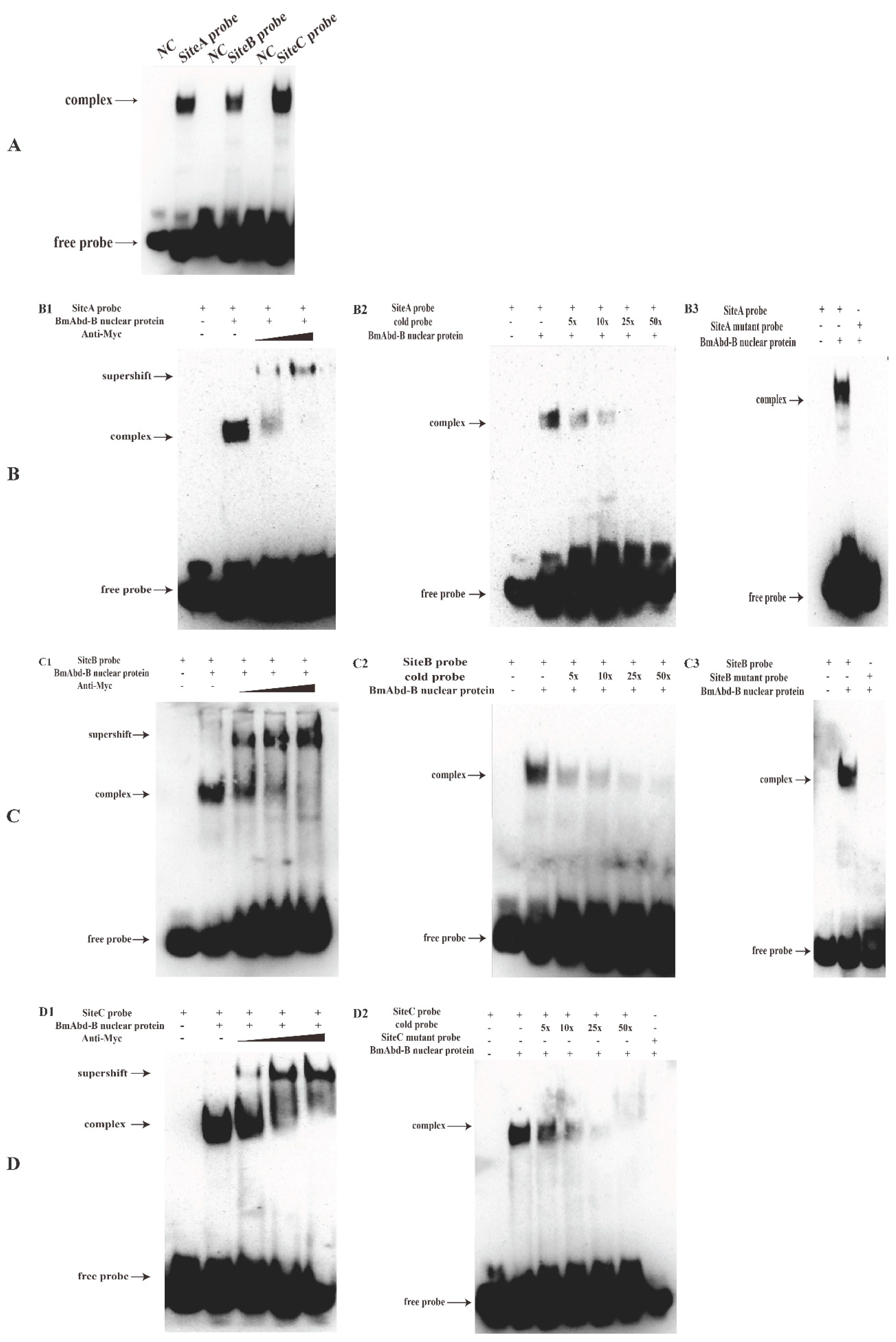Insects 13 00188 g007 Insects 13 00188 g007
