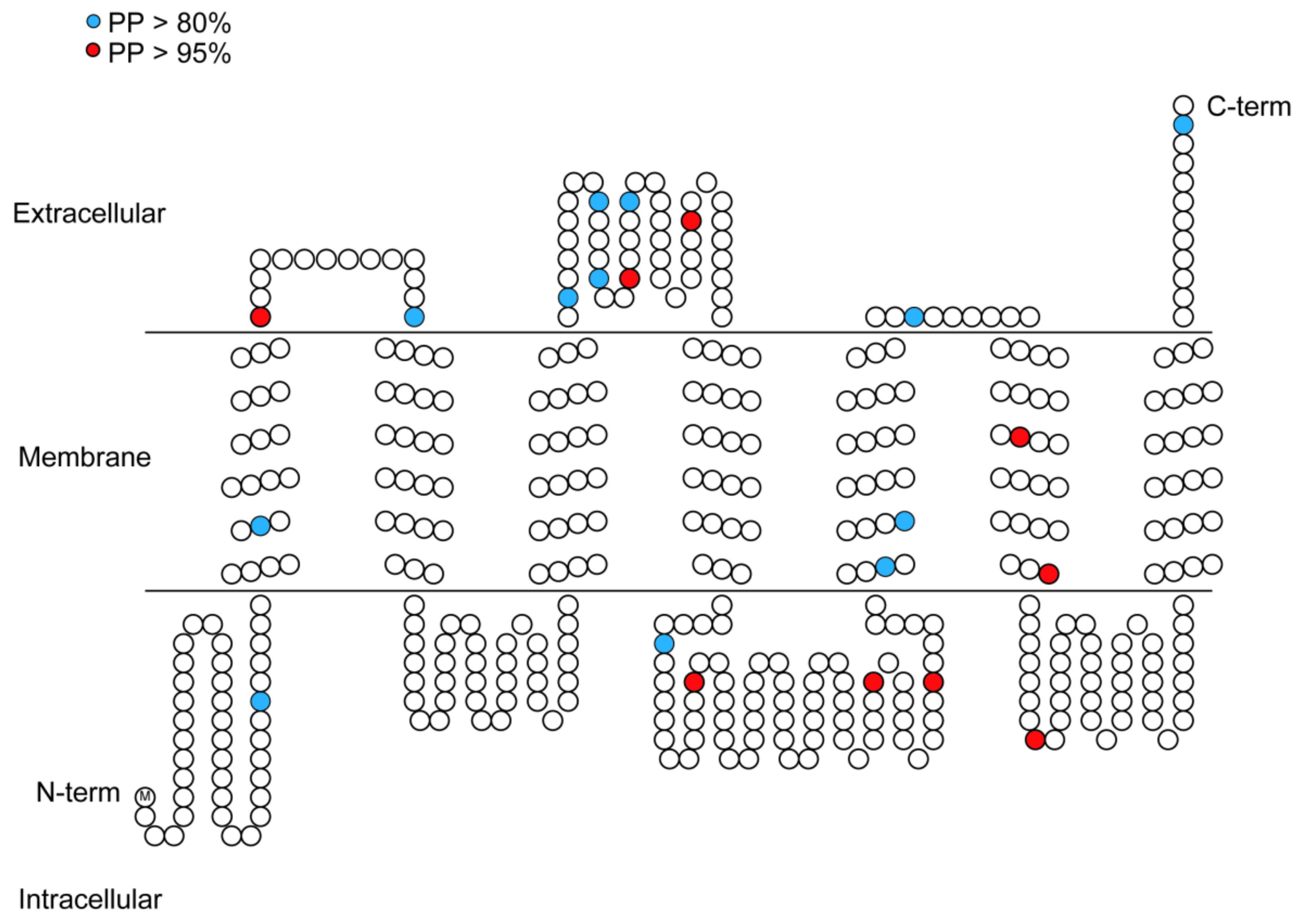 Insects | Free Full-Text | Diversity and Molecular Evolution of Odorant ...