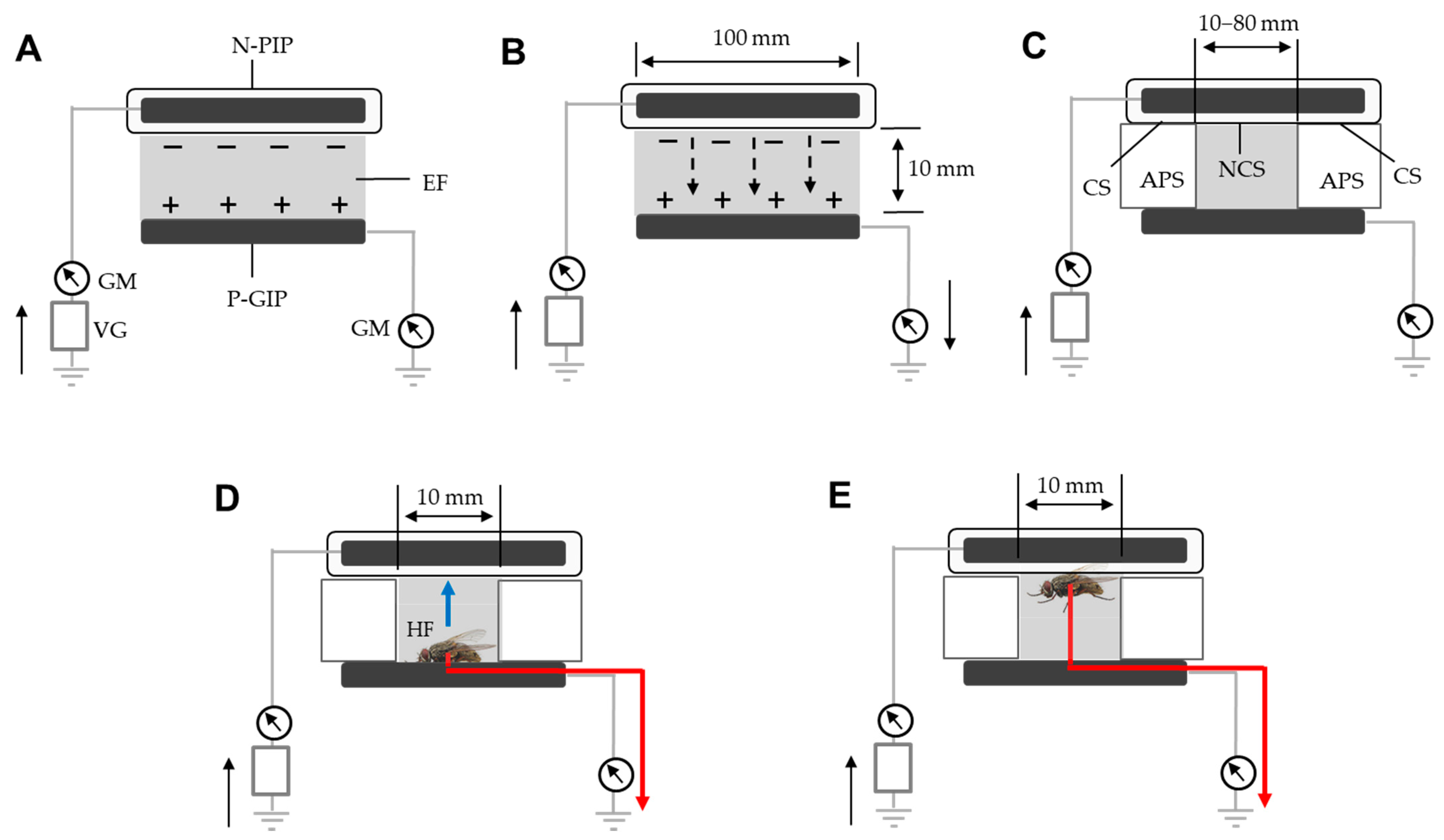 https://www.mdpi.com/insects/insects-13-00253/article_deploy/html/images/insects-13-00253-g003.png