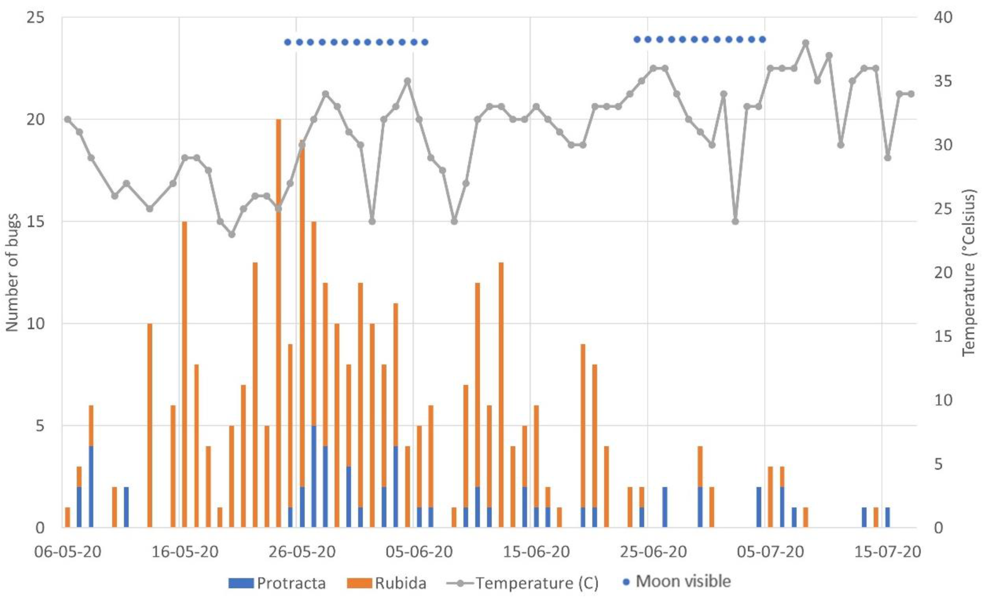 Taxa shown on observation different than what was submitted - Bug Reports -  iNaturalist Community Forum