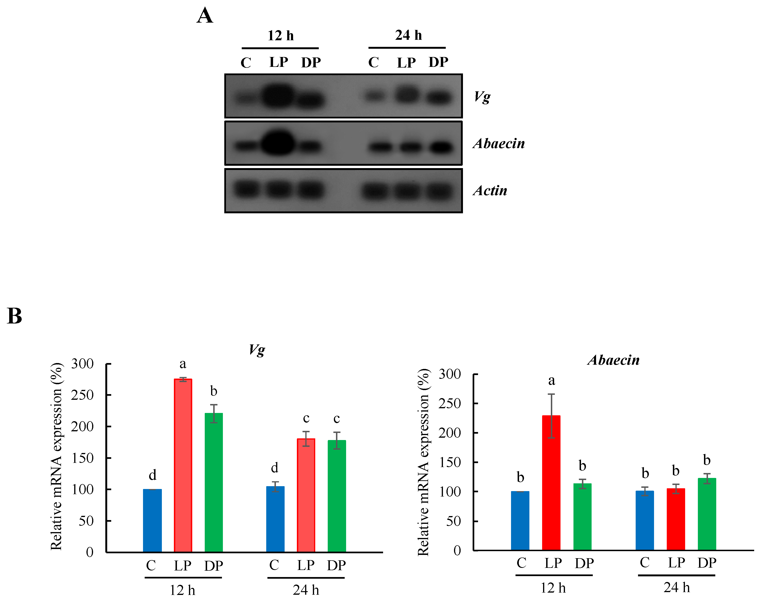 Insects 13 00334 g001