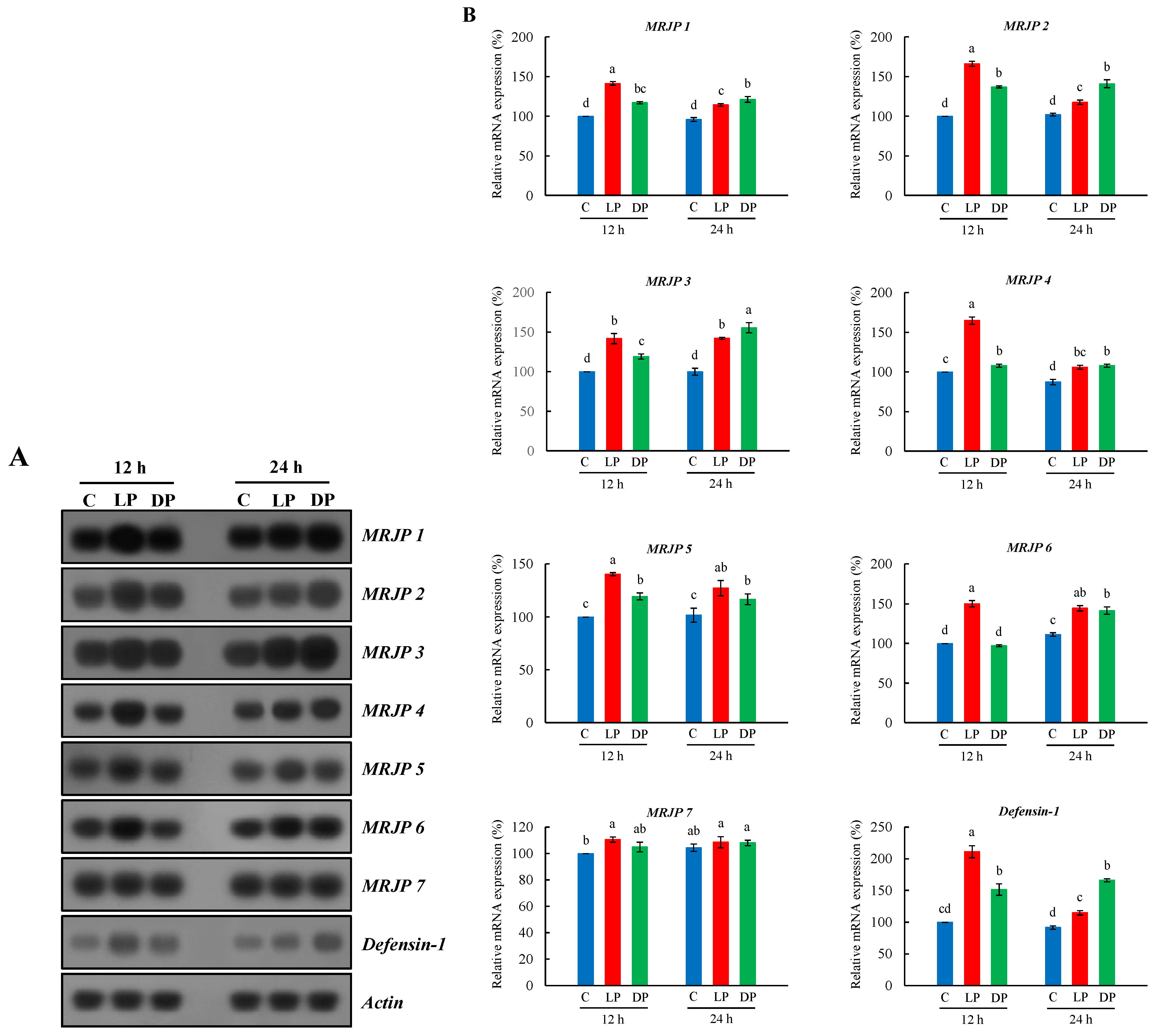 Insects 13 00334 g002