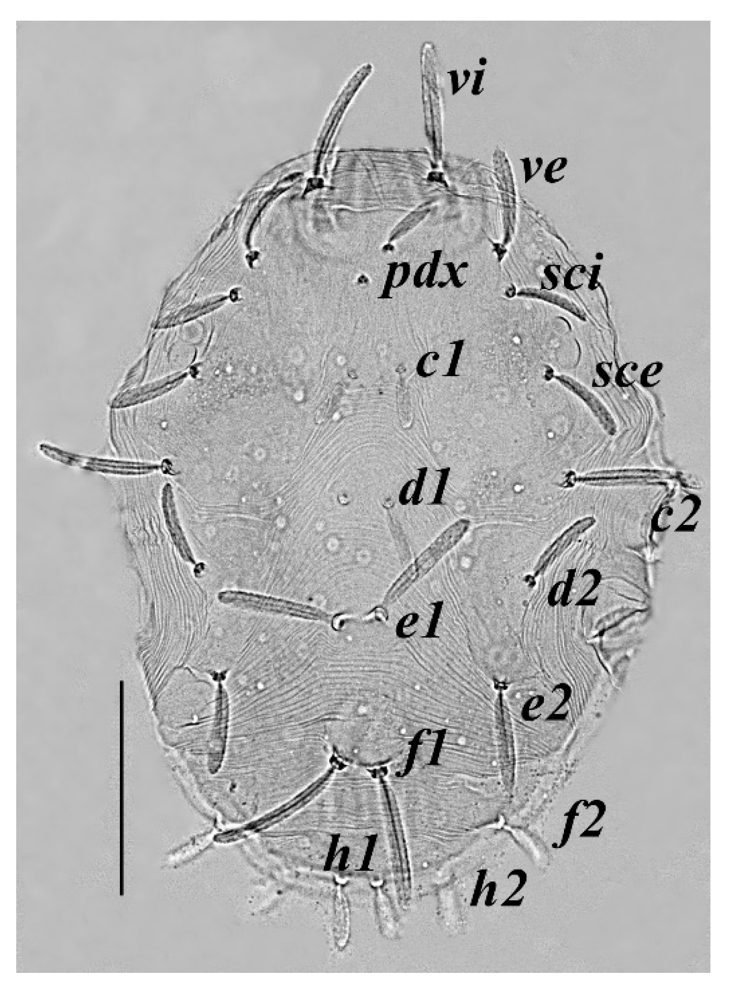 Insects 13 00344 g019 Insects 13 00344 g019