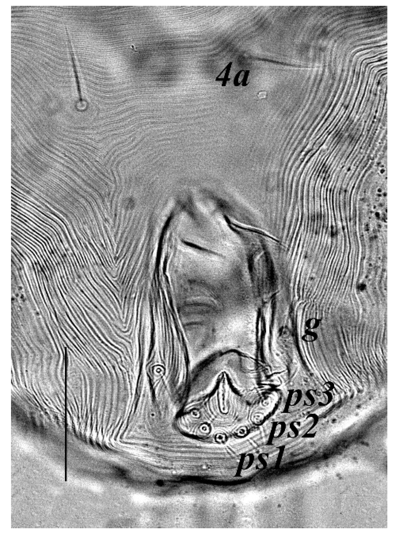 Insects 13 00344 g021 Insects 13 00344 g021
