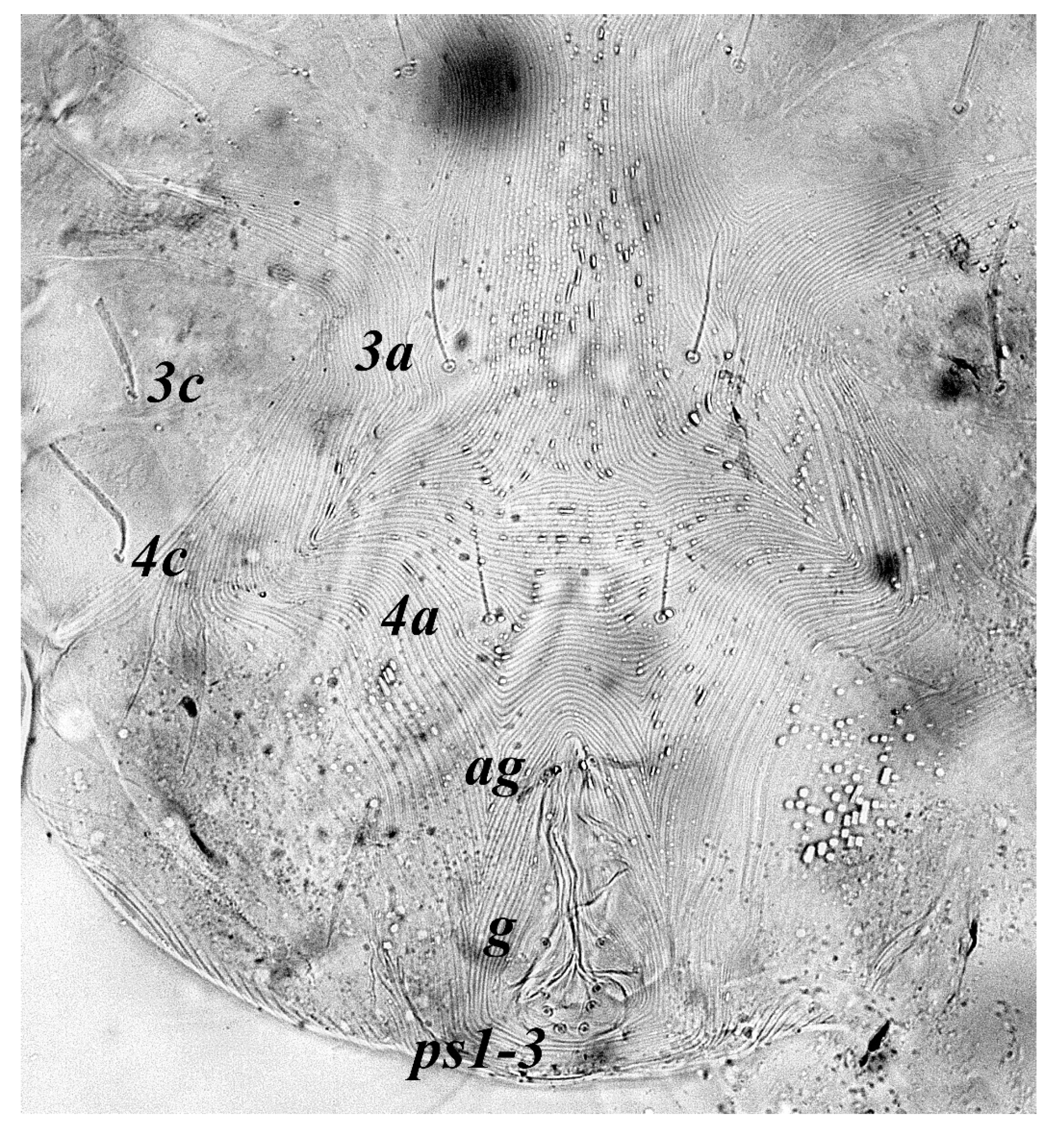 Insects 13 00344 g028 Insects 13 00344 g028