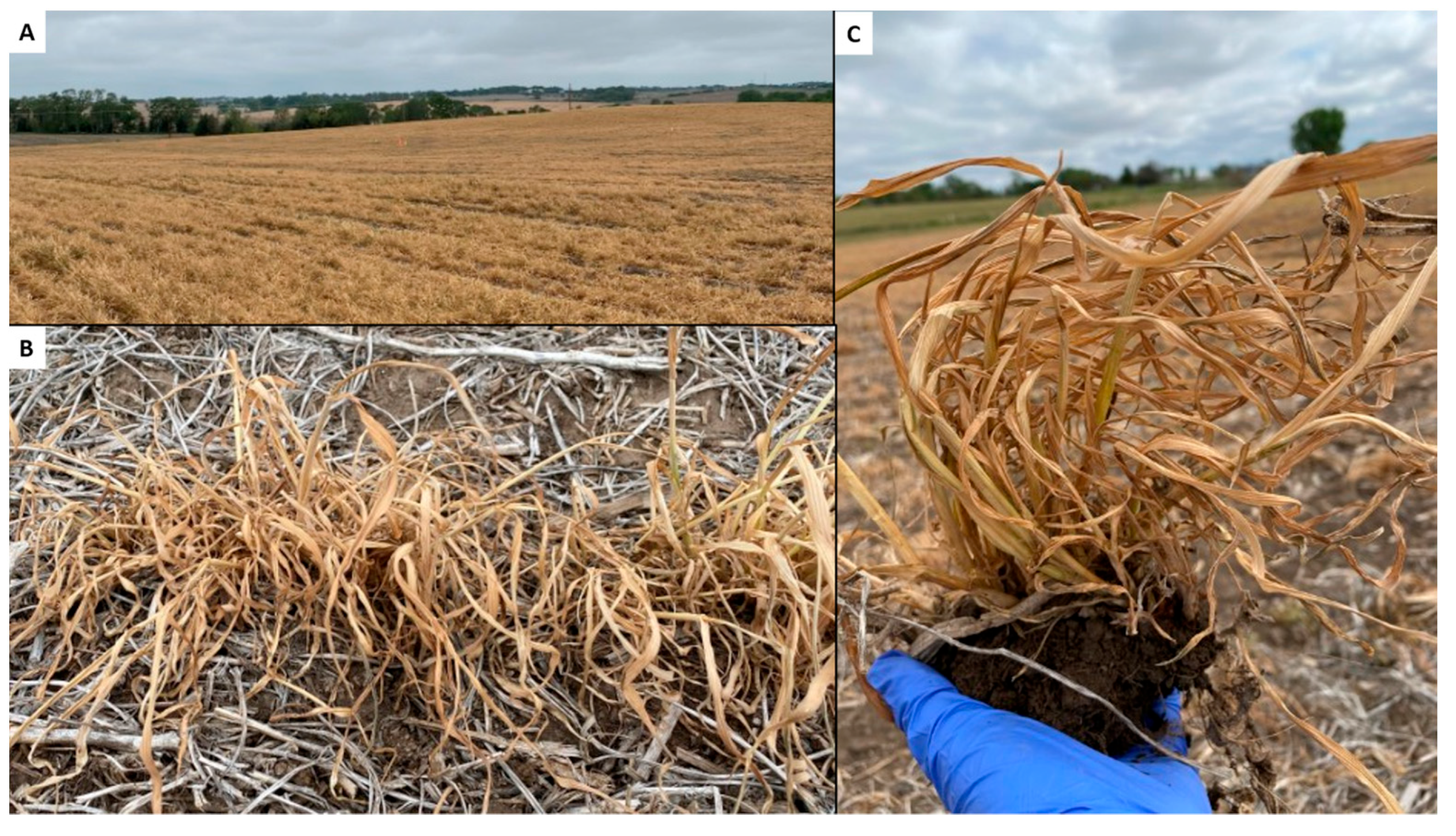 Insects 13 00348 g0a1