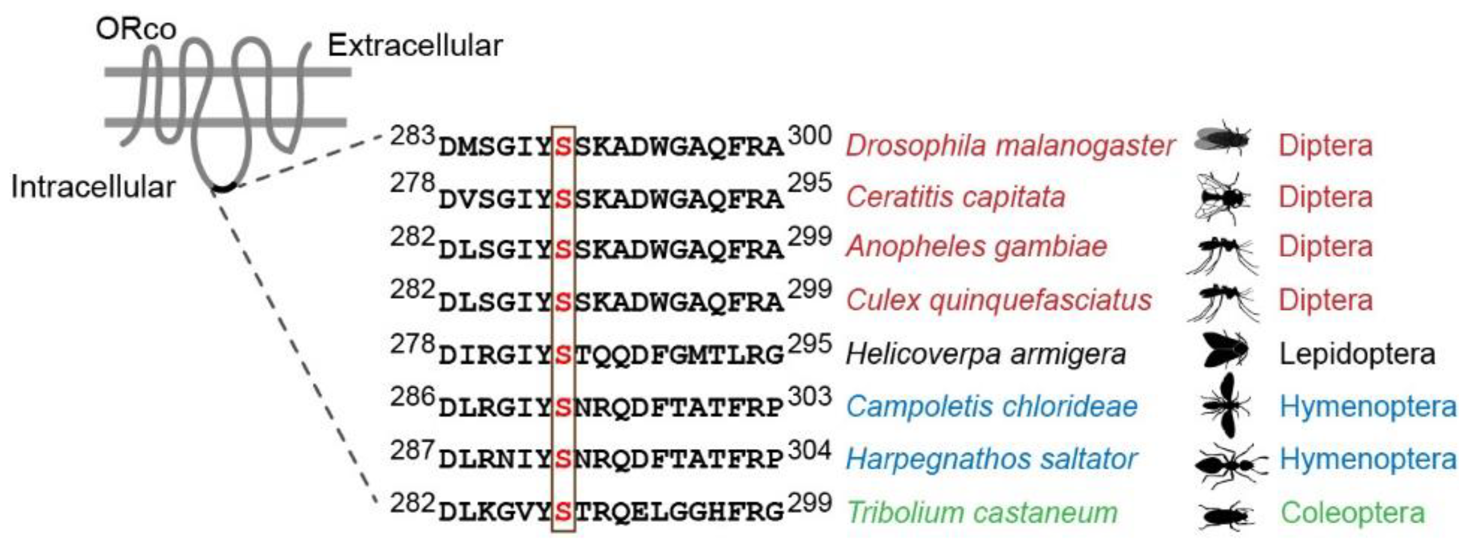 Insects 13 00354 g001