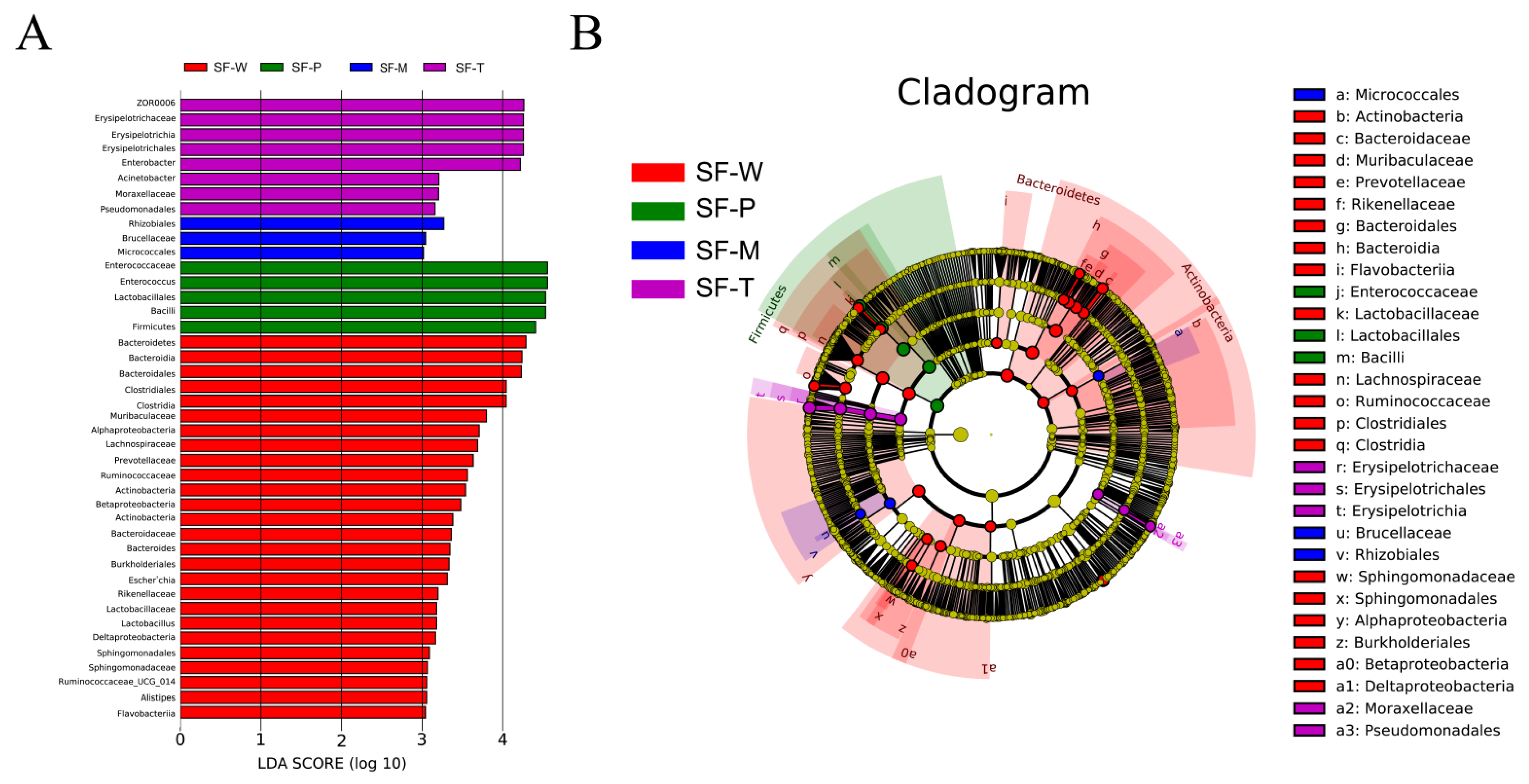 Insects 13 00373 g005
