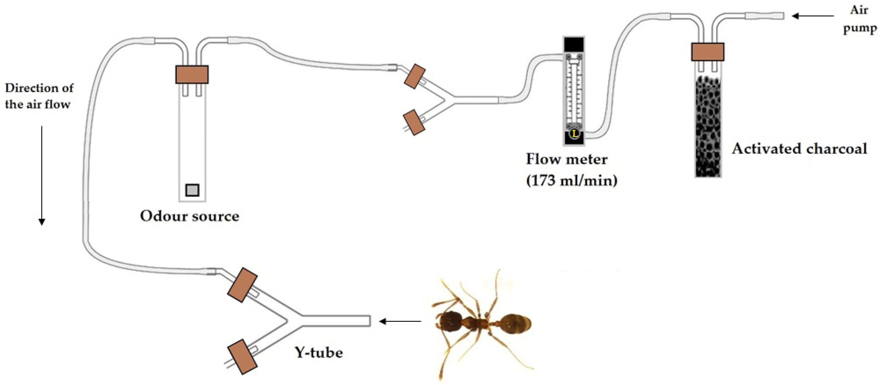 Insects 13 00395 g001