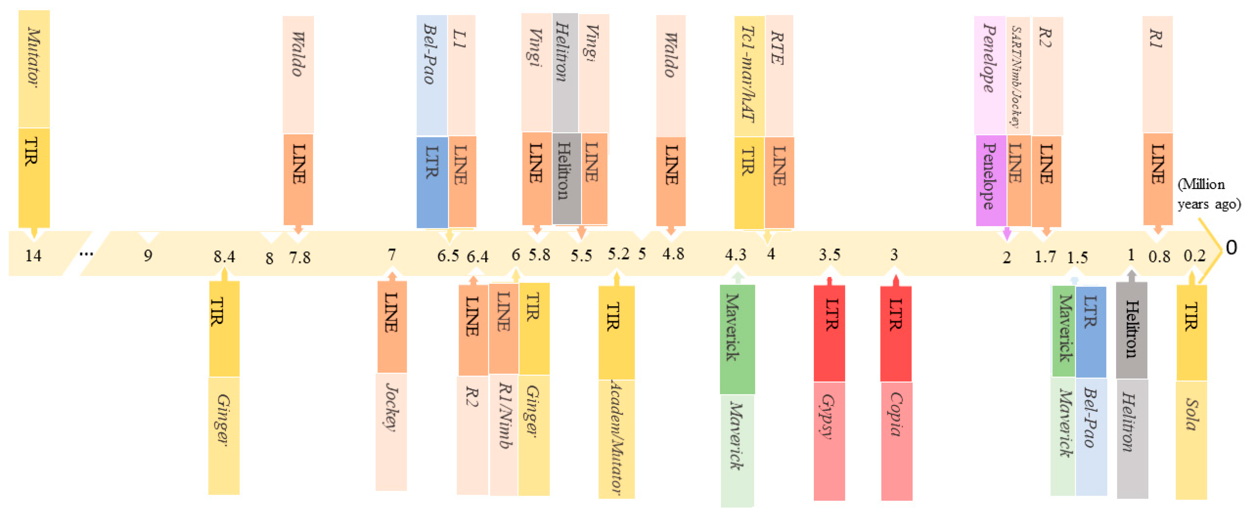 Insects 13 00396 g002