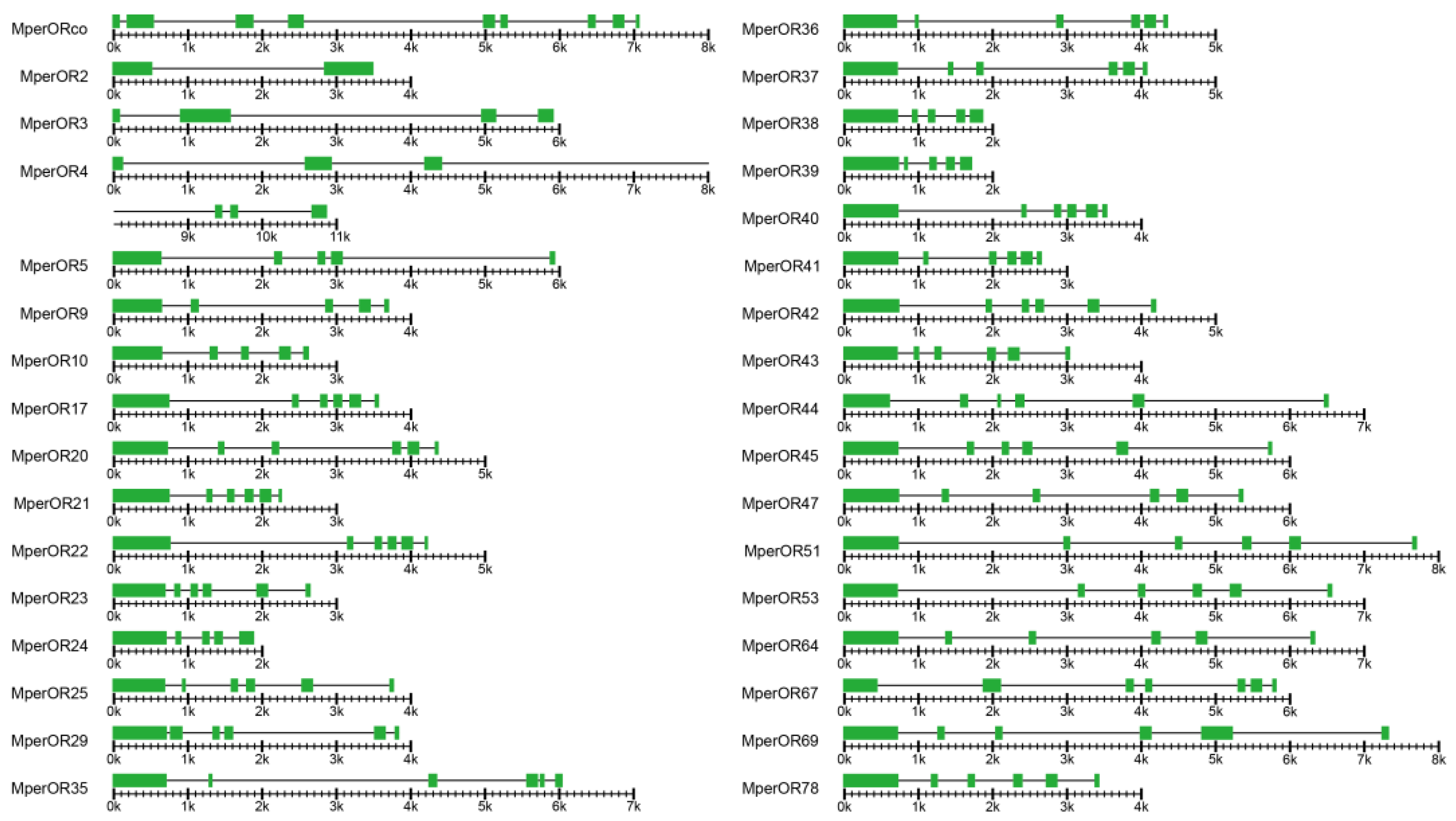 Insects 13 00398 g002