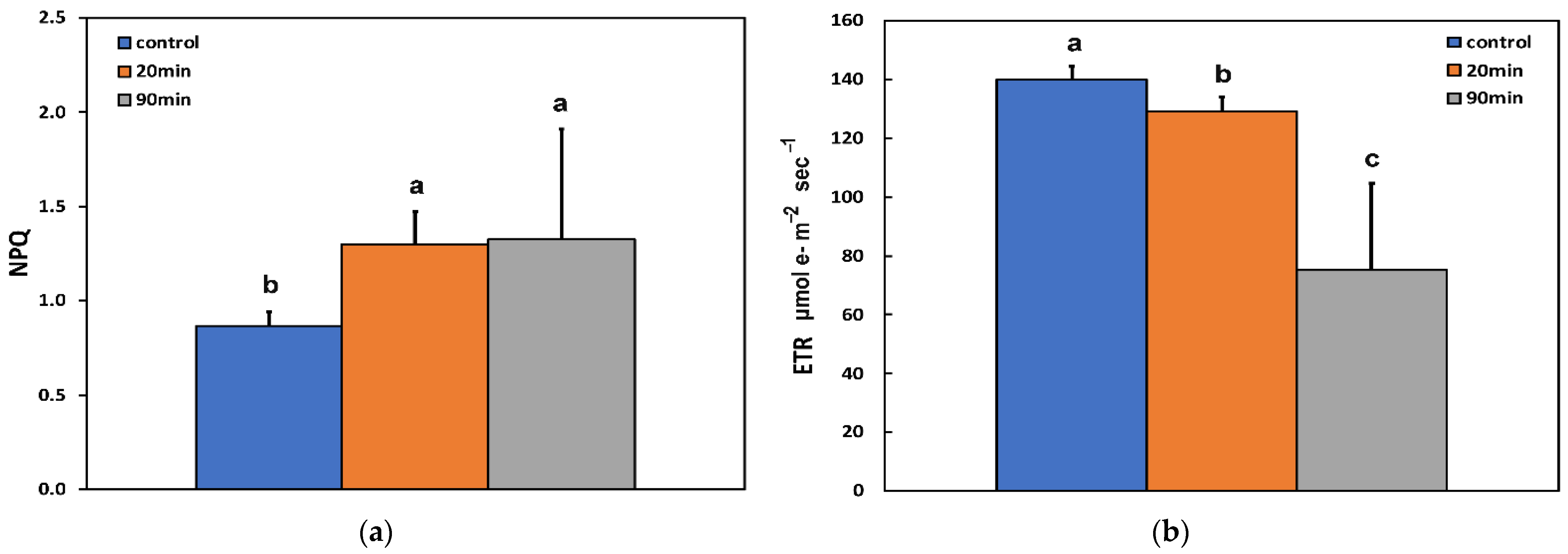 Insects 13 00409 g002