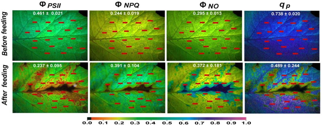 Insects 13 00409 g005