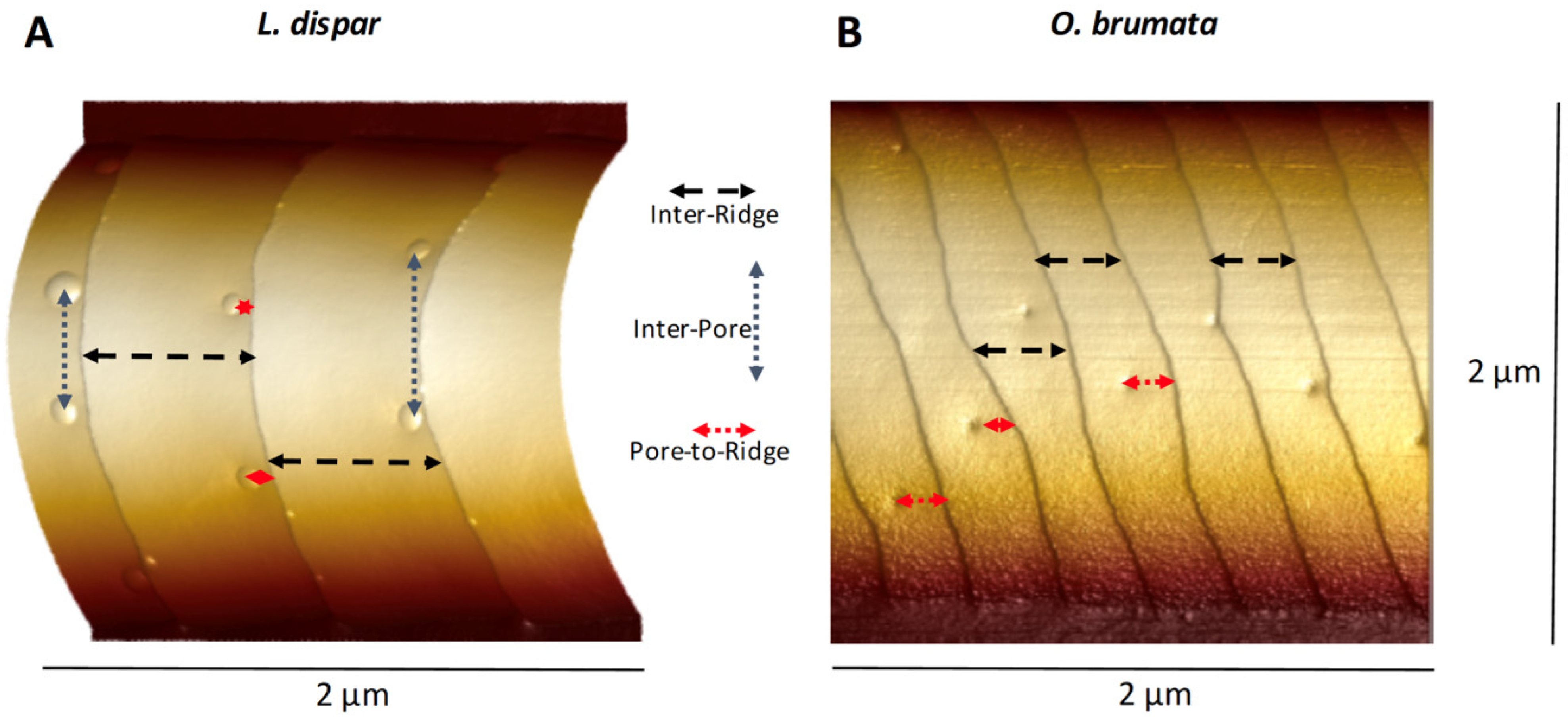 Insects 13 00423 g001