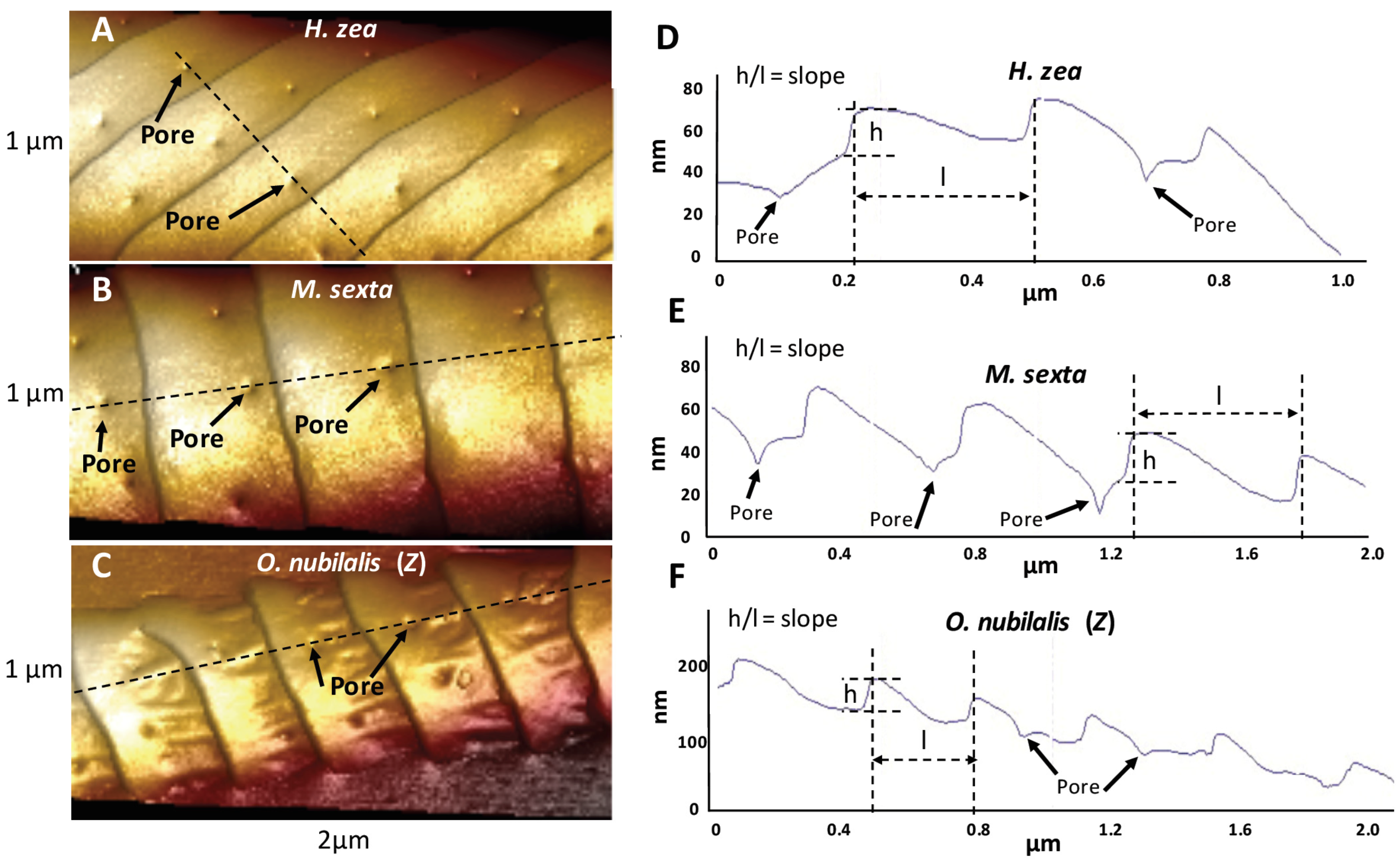 Insects 13 00423 g003