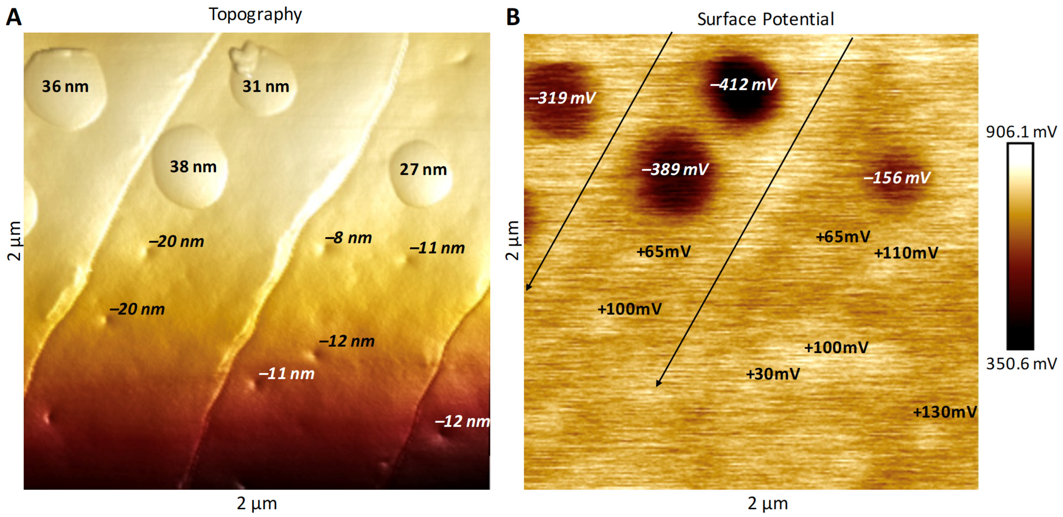 Insects 13 00423 g006