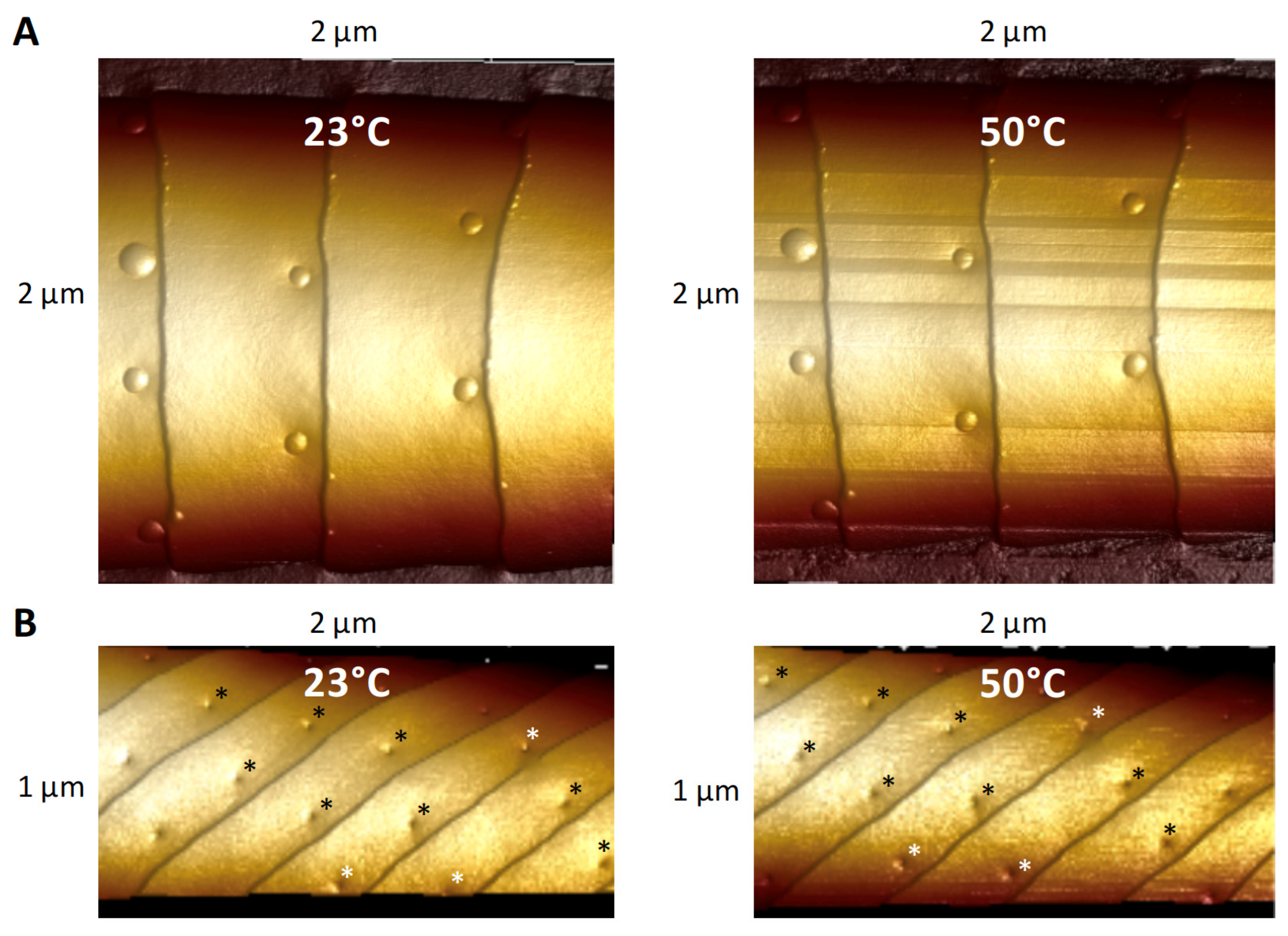 Insects 13 00423 g009