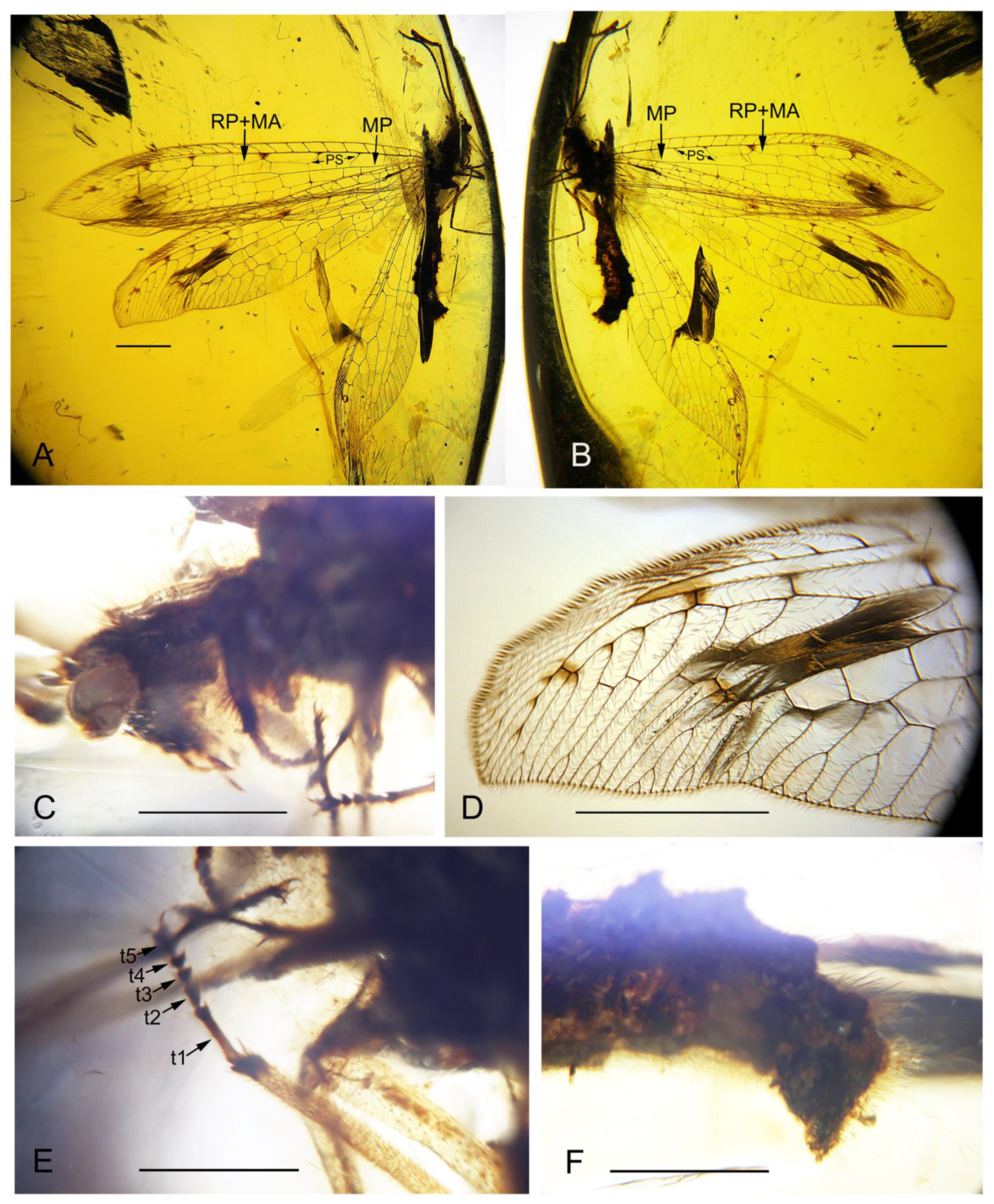 Insects 13 00429 g002