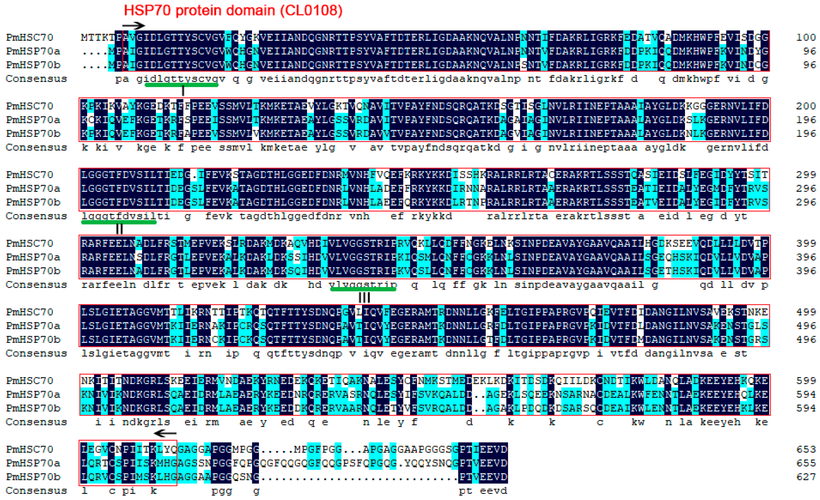 Insects 13 00430 g001