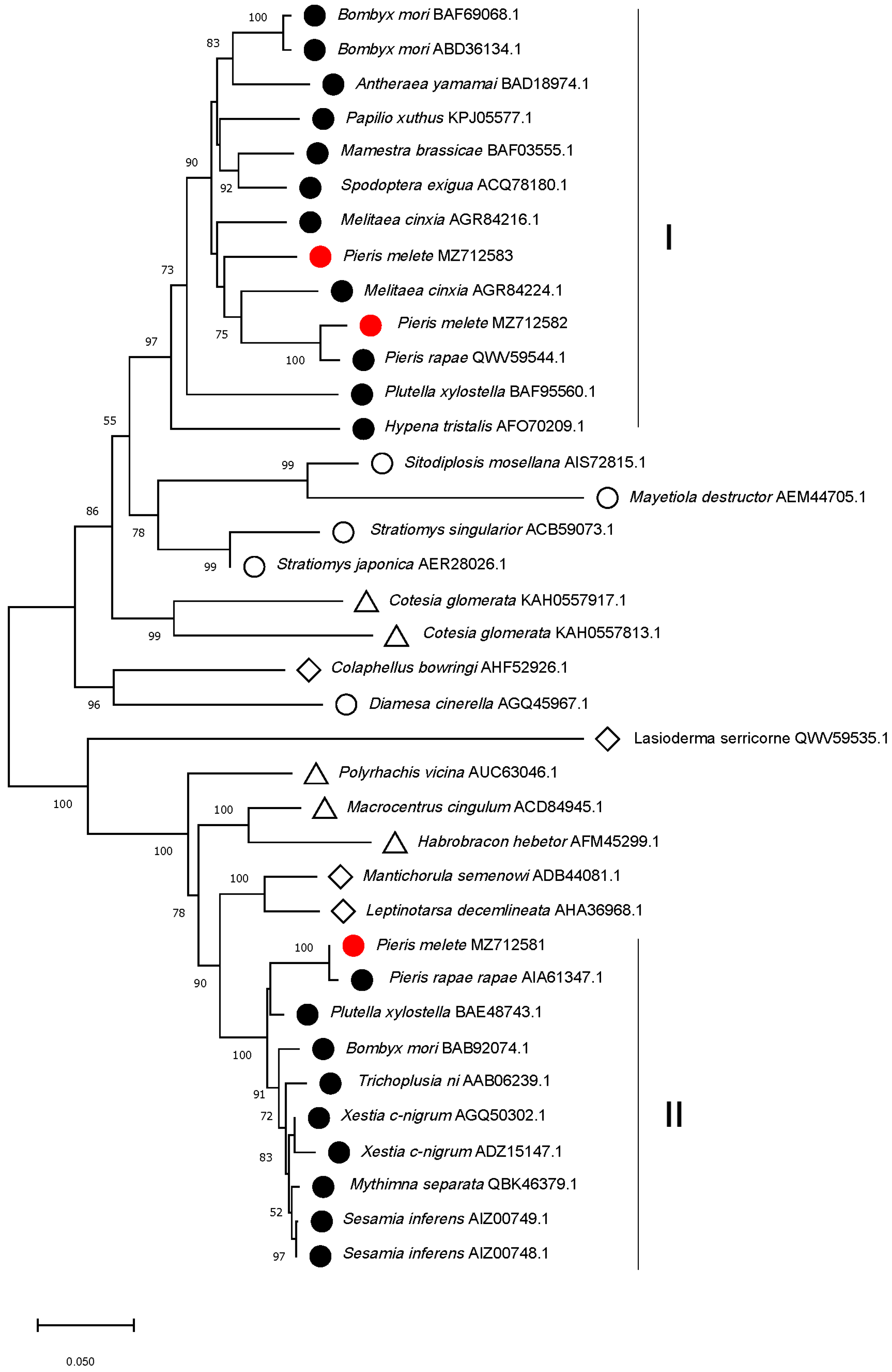 Insects 13 00430 g002