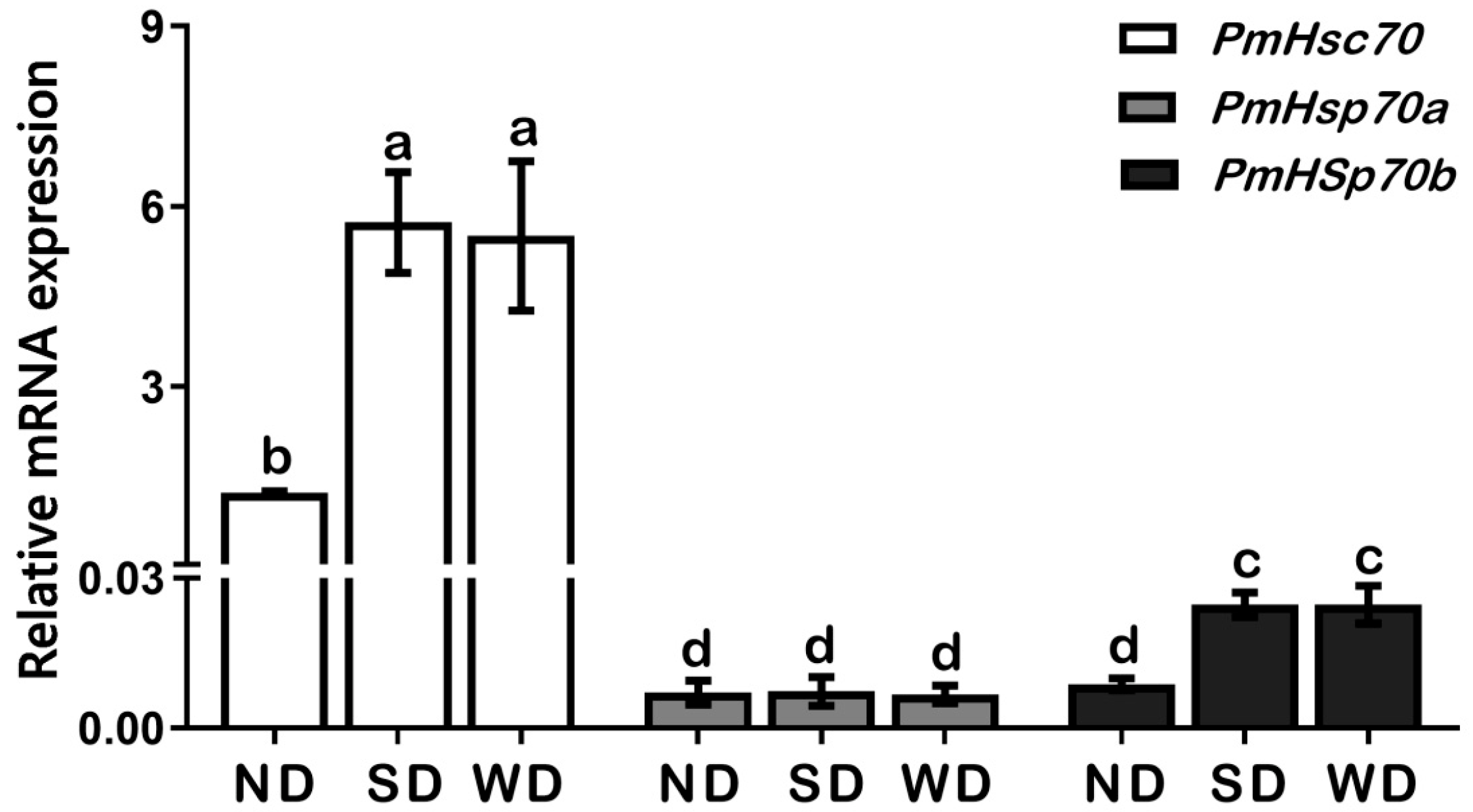 Insects 13 00430 g003