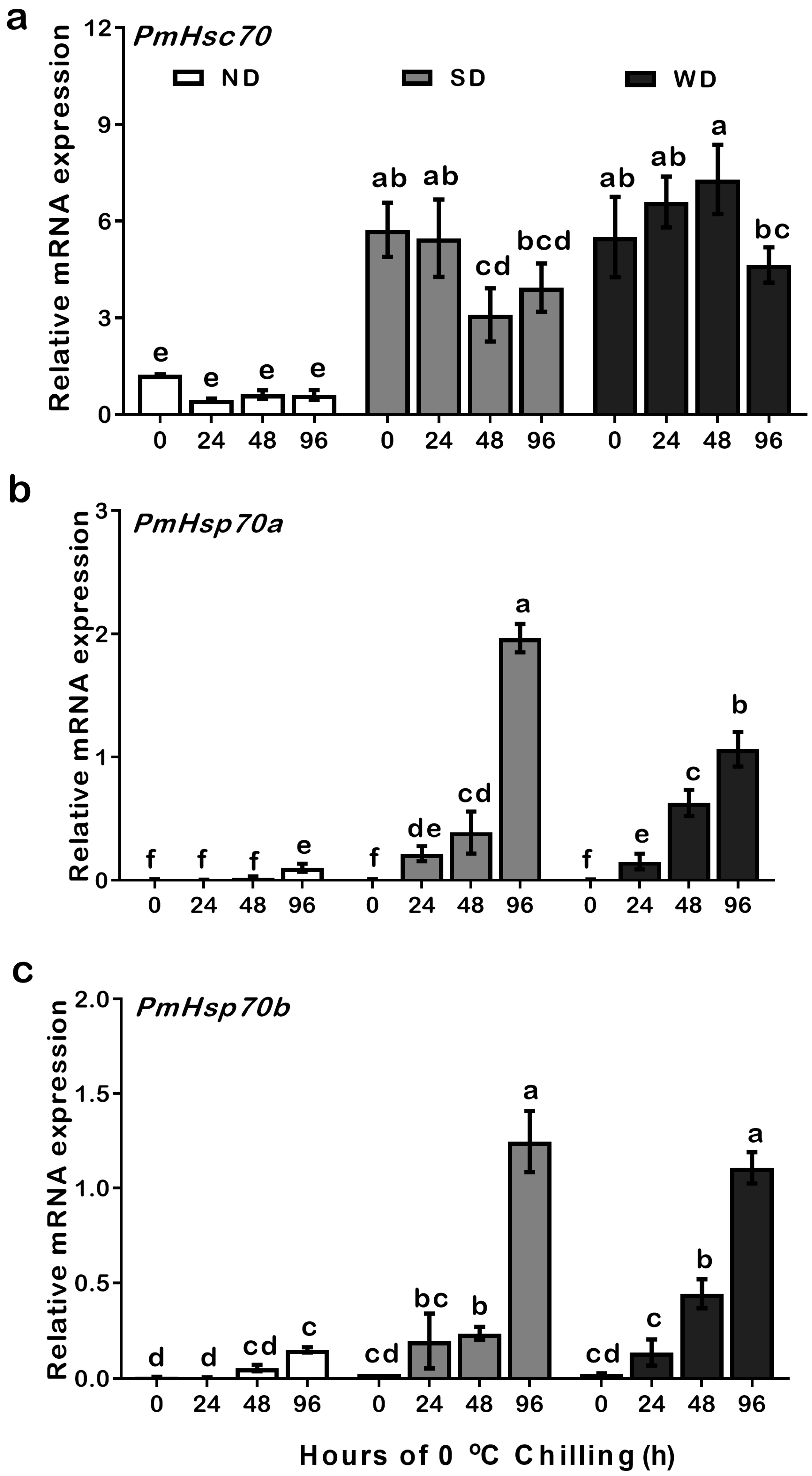 Insects 13 00430 g004