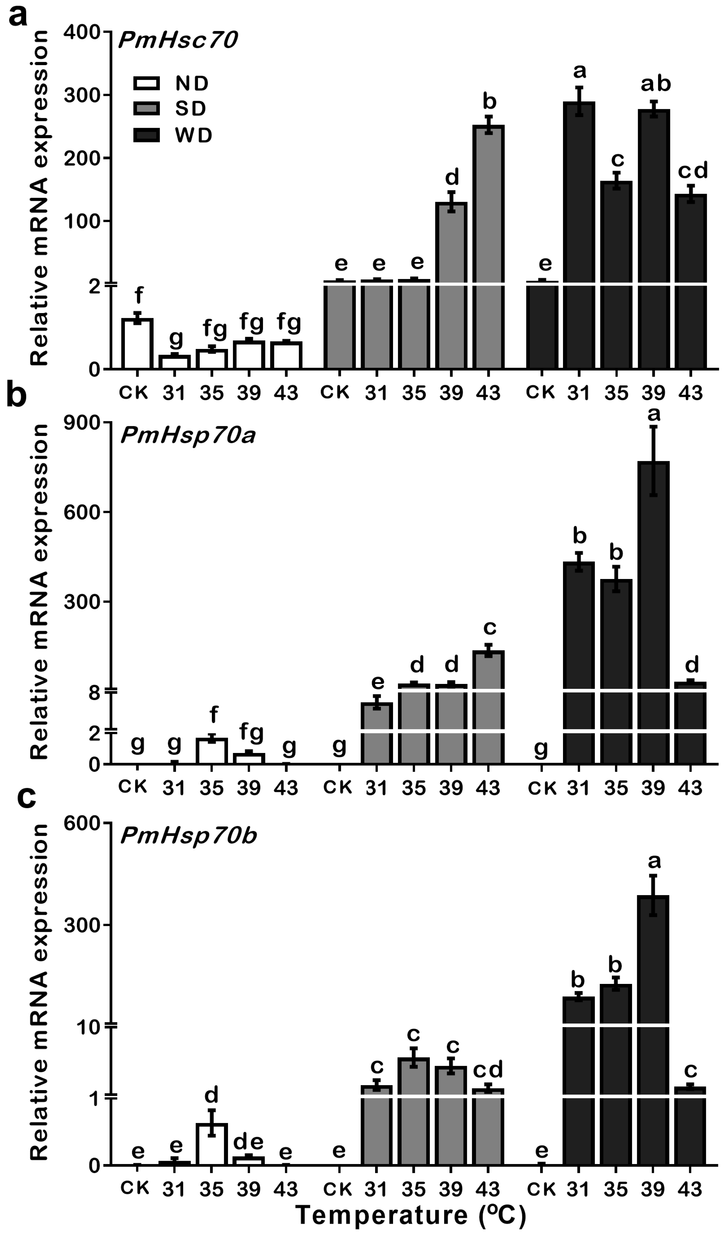 Insects 13 00430 g005
