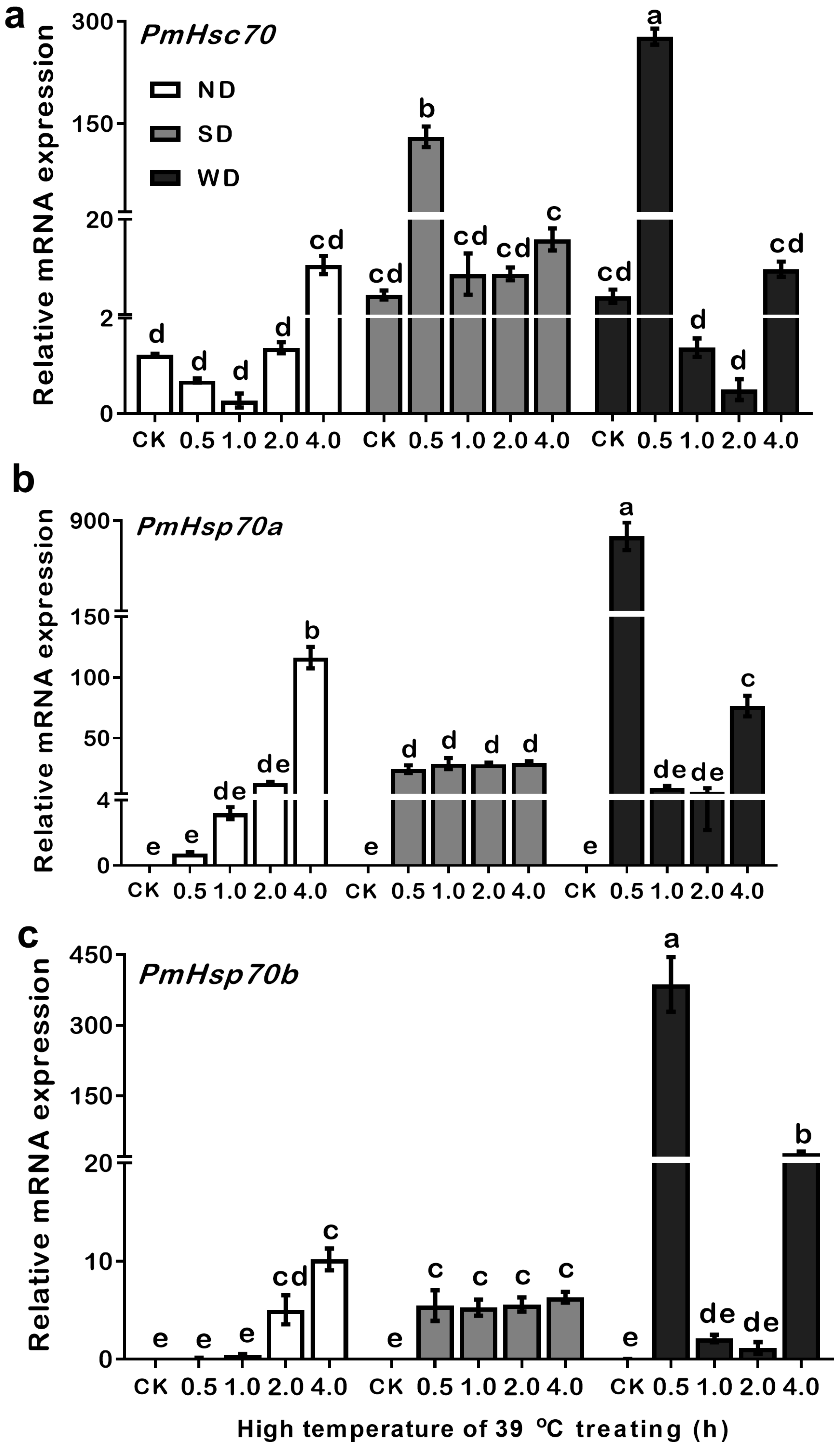 Insects 13 00430 g006