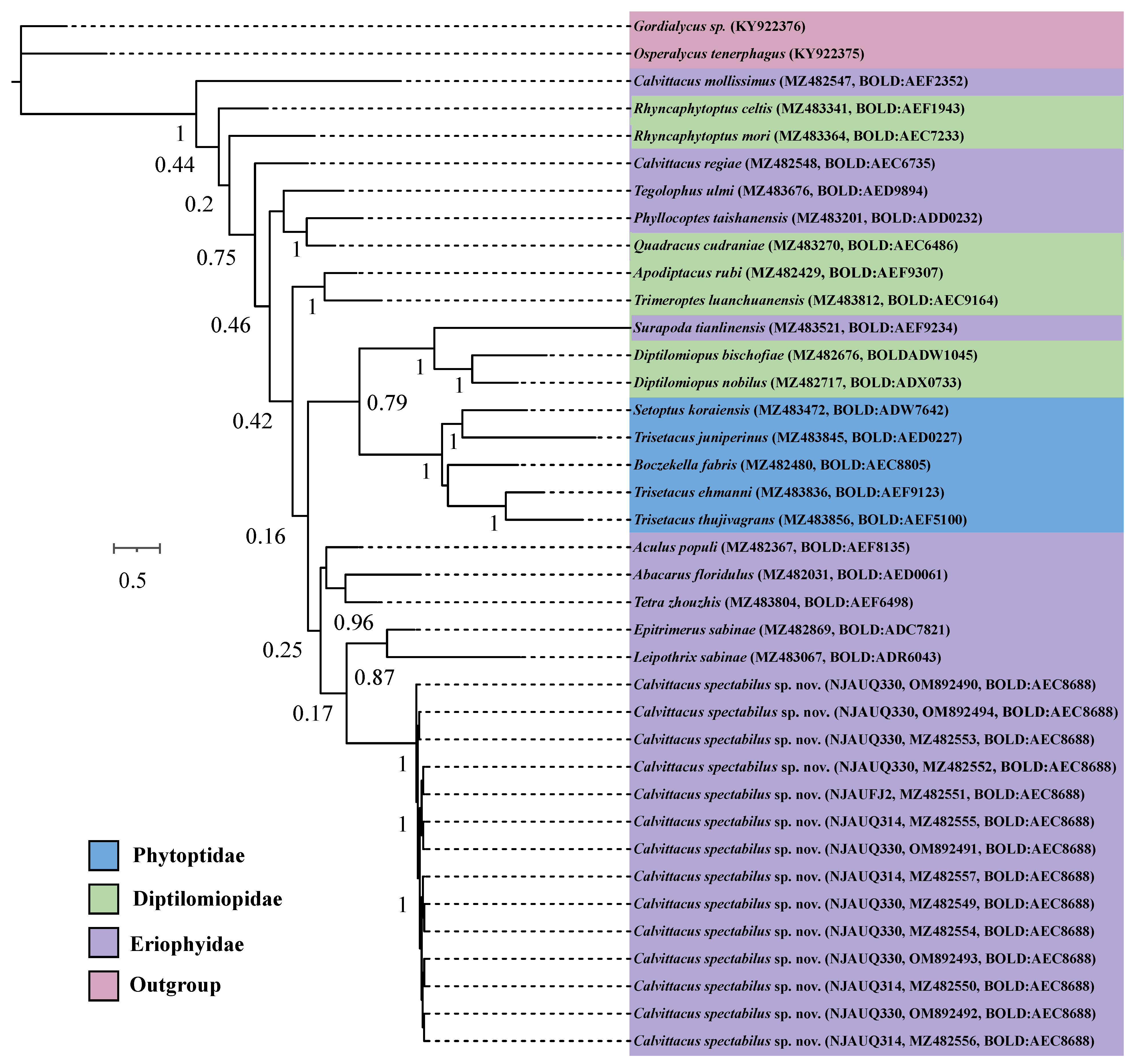 Insects 13 00431 g006 Insects 13 00431 g006