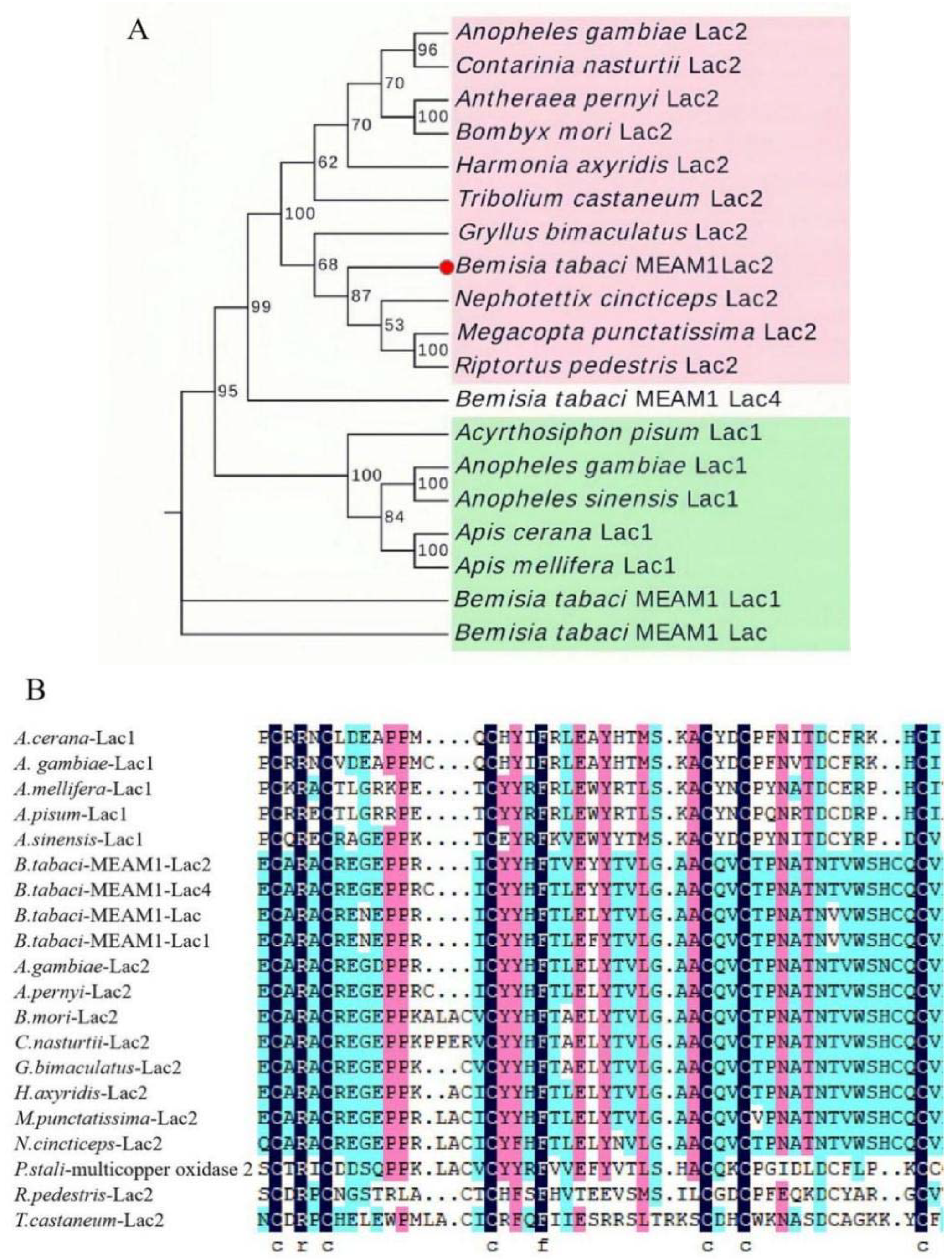 Insects 13 00471 g001