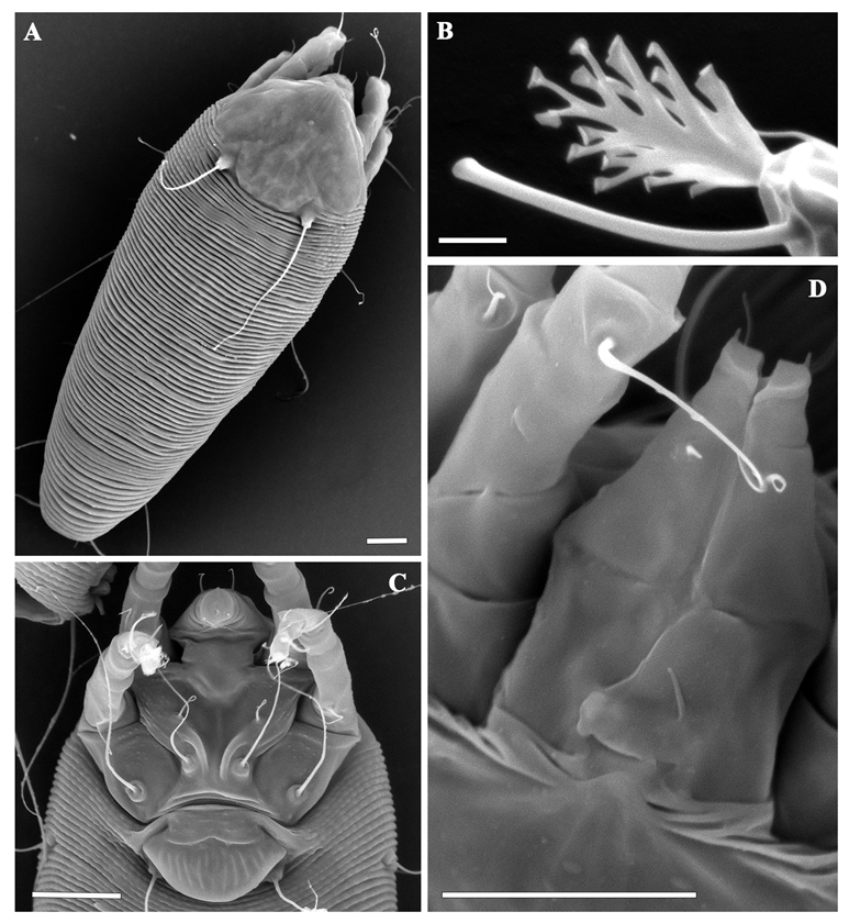 Insects 13 00489 g002