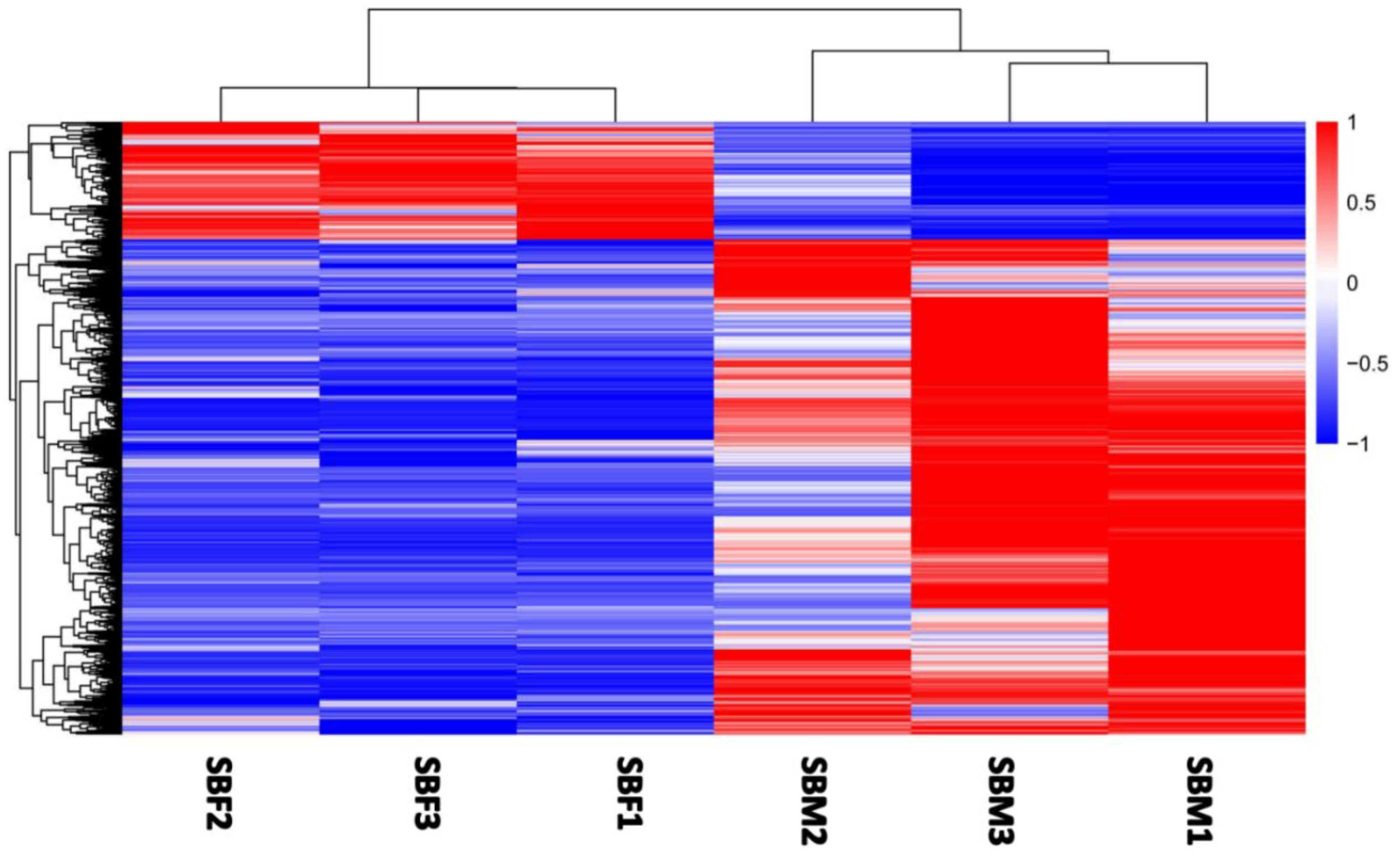 Insects 13 00500 g002