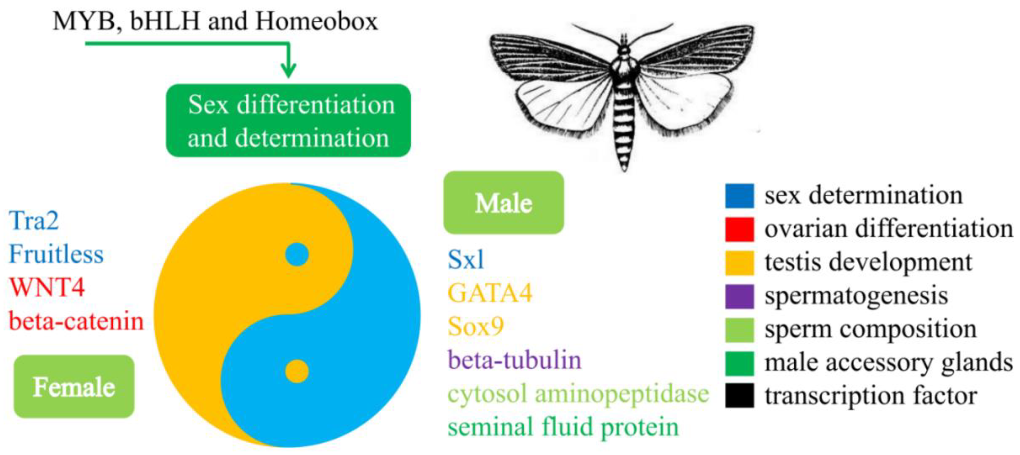 Insects 13 00500 g011