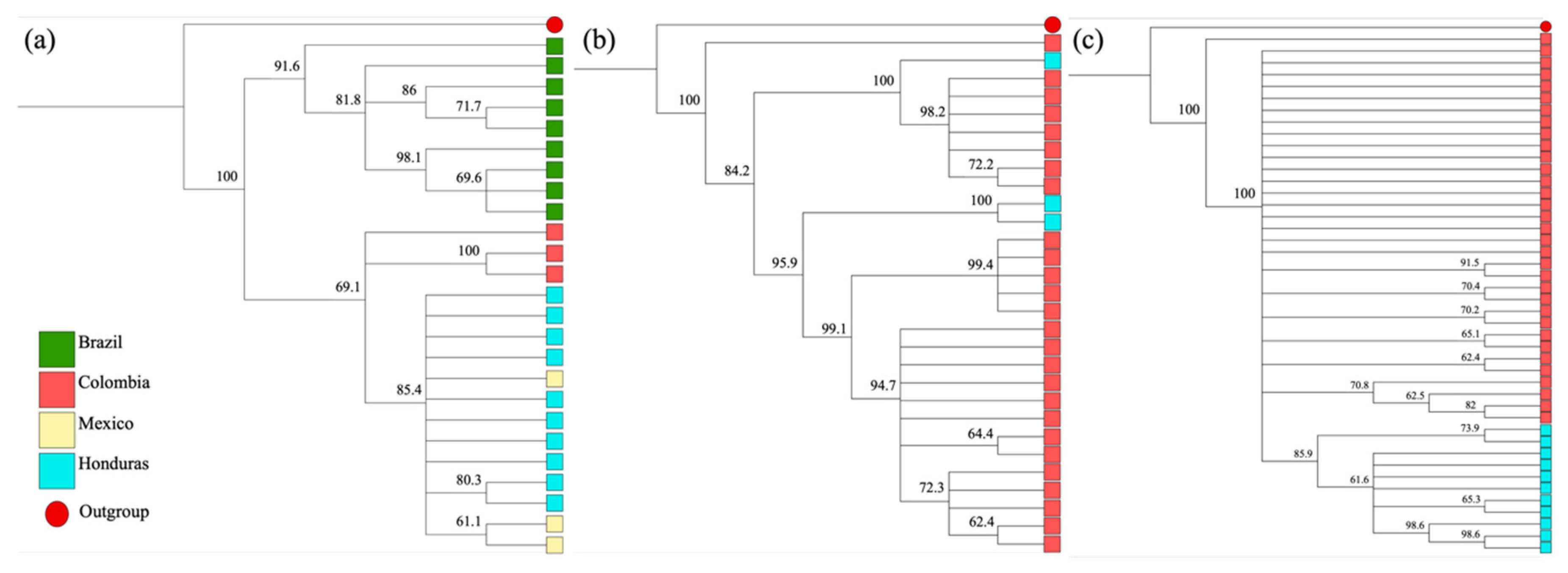 Insects 13 00548 g004 Insects 13 00548 g004