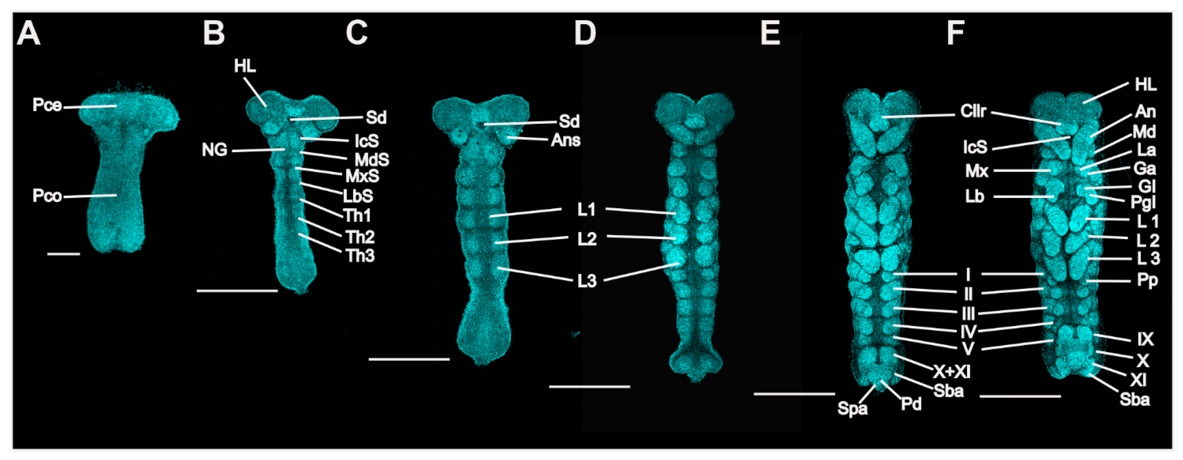 Insects 13 00551 g003 Insects 13 00551 g003
