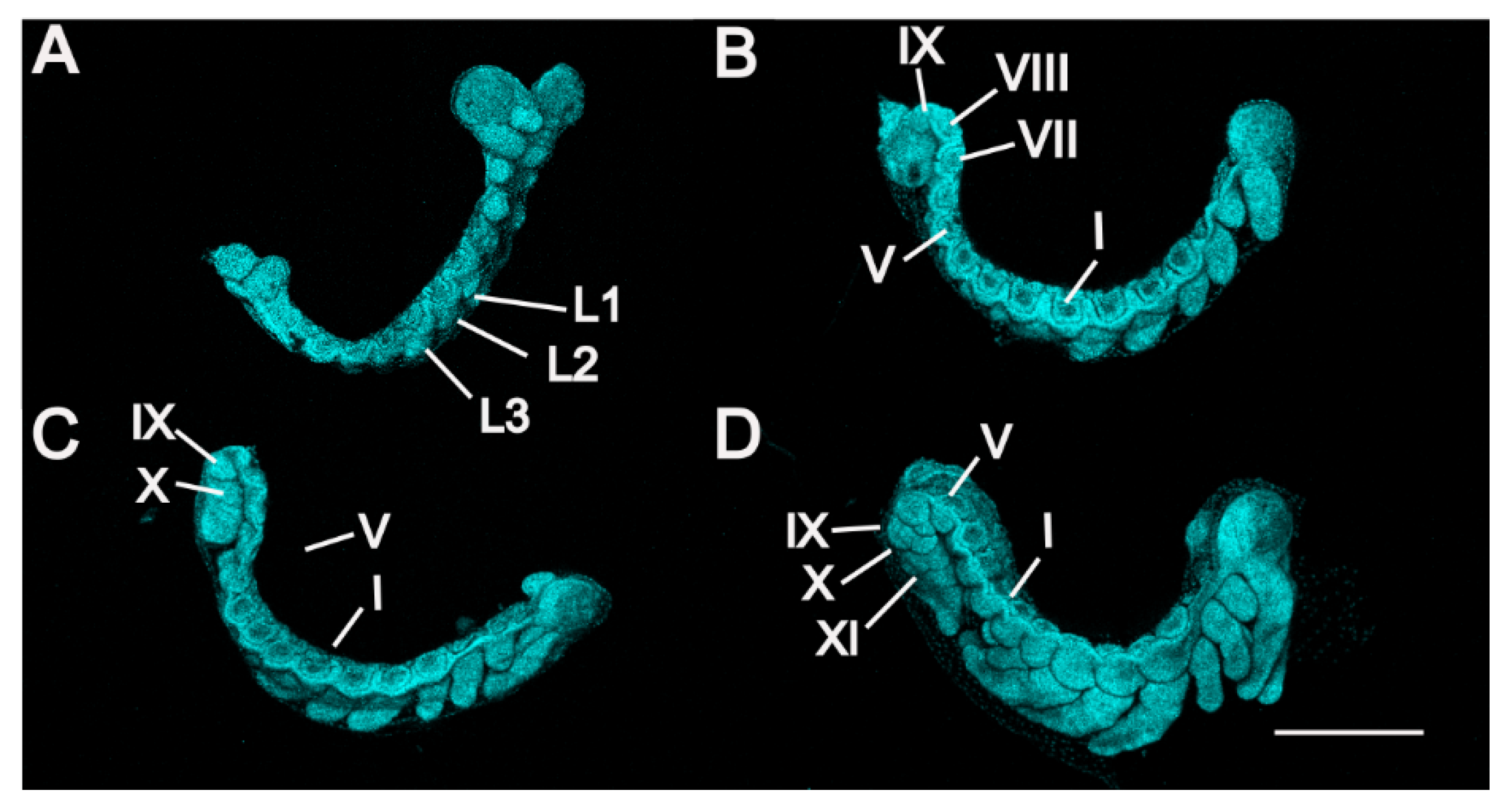 Insects 13 00551 g004 Insects 13 00551 g004