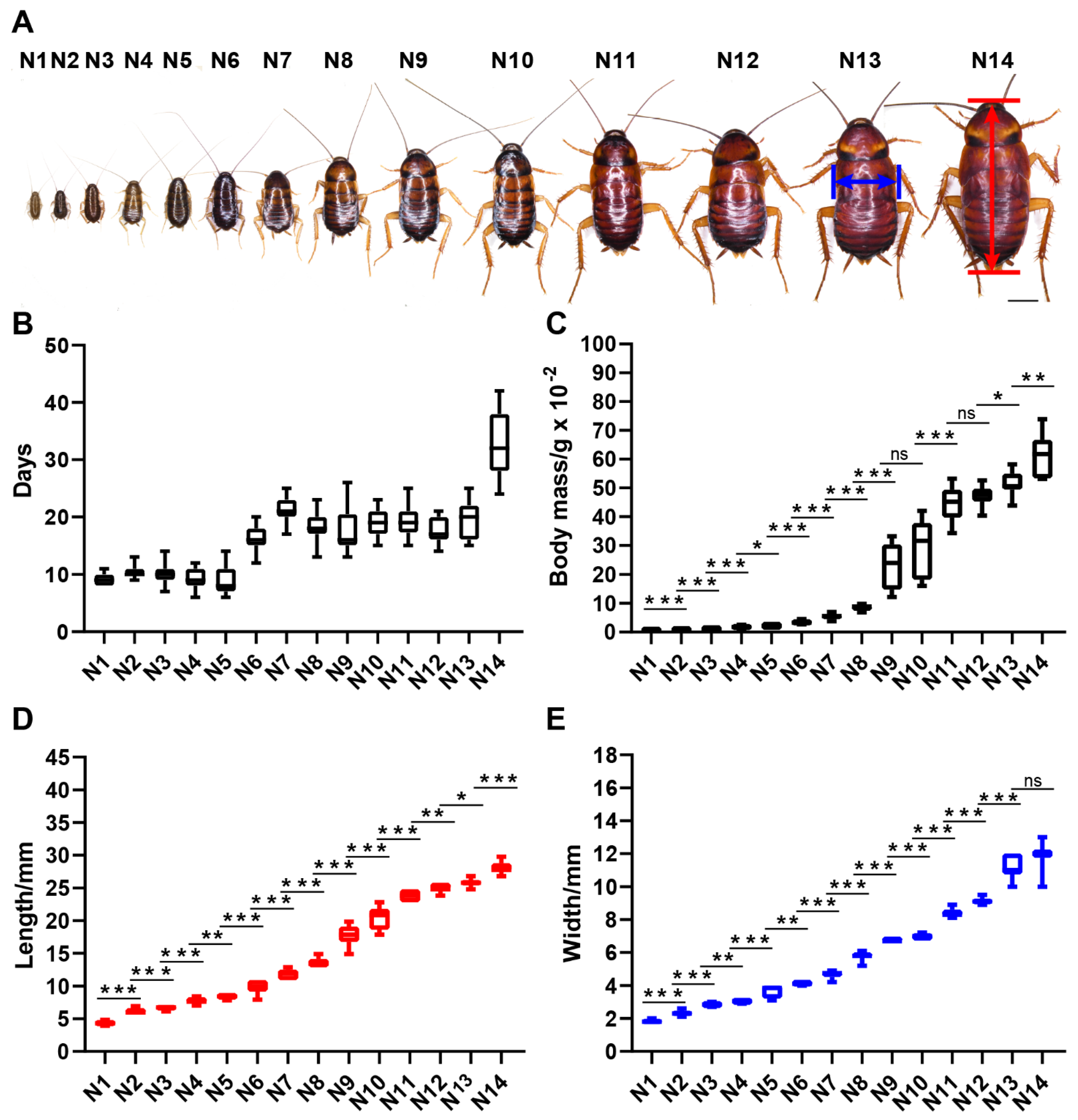 Insects 13 00551 g005 Insects 13 00551 g005