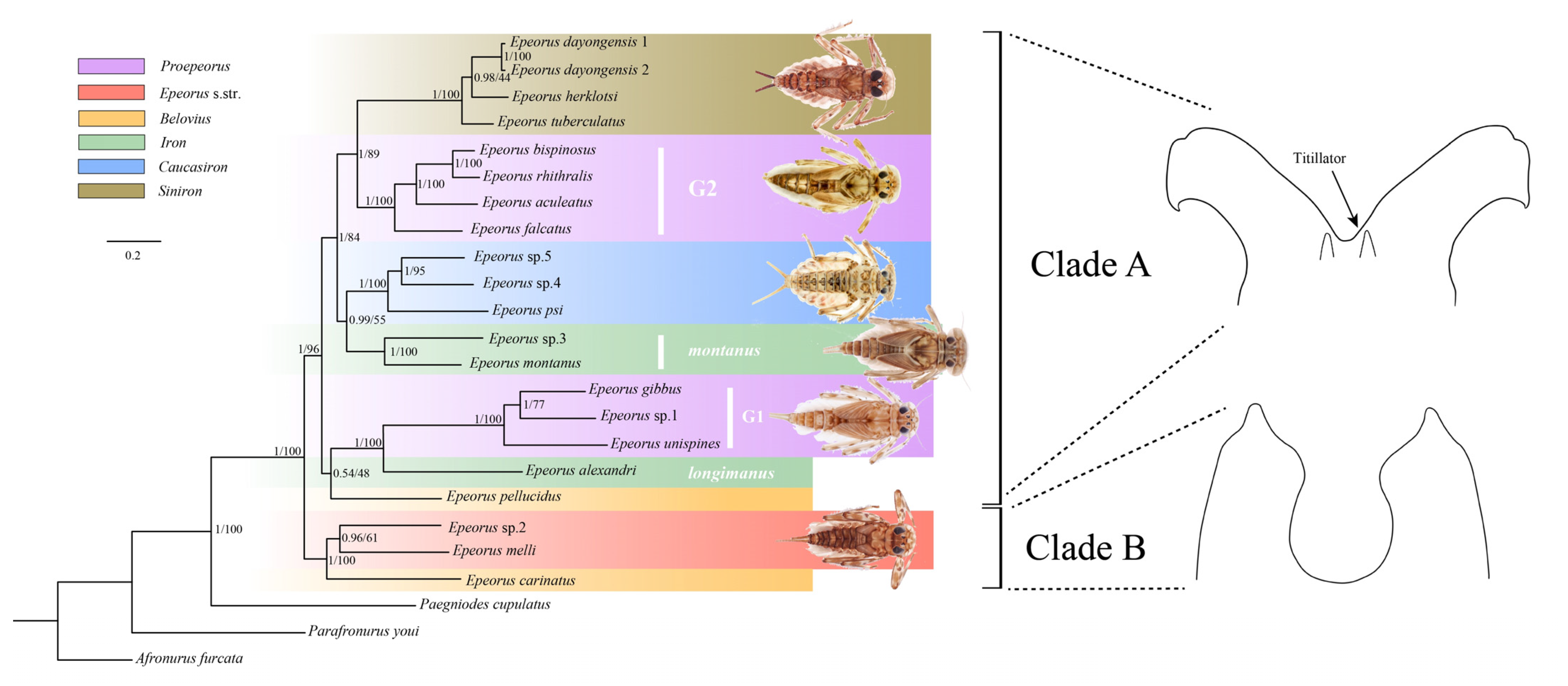 Insects 13 00599 g006