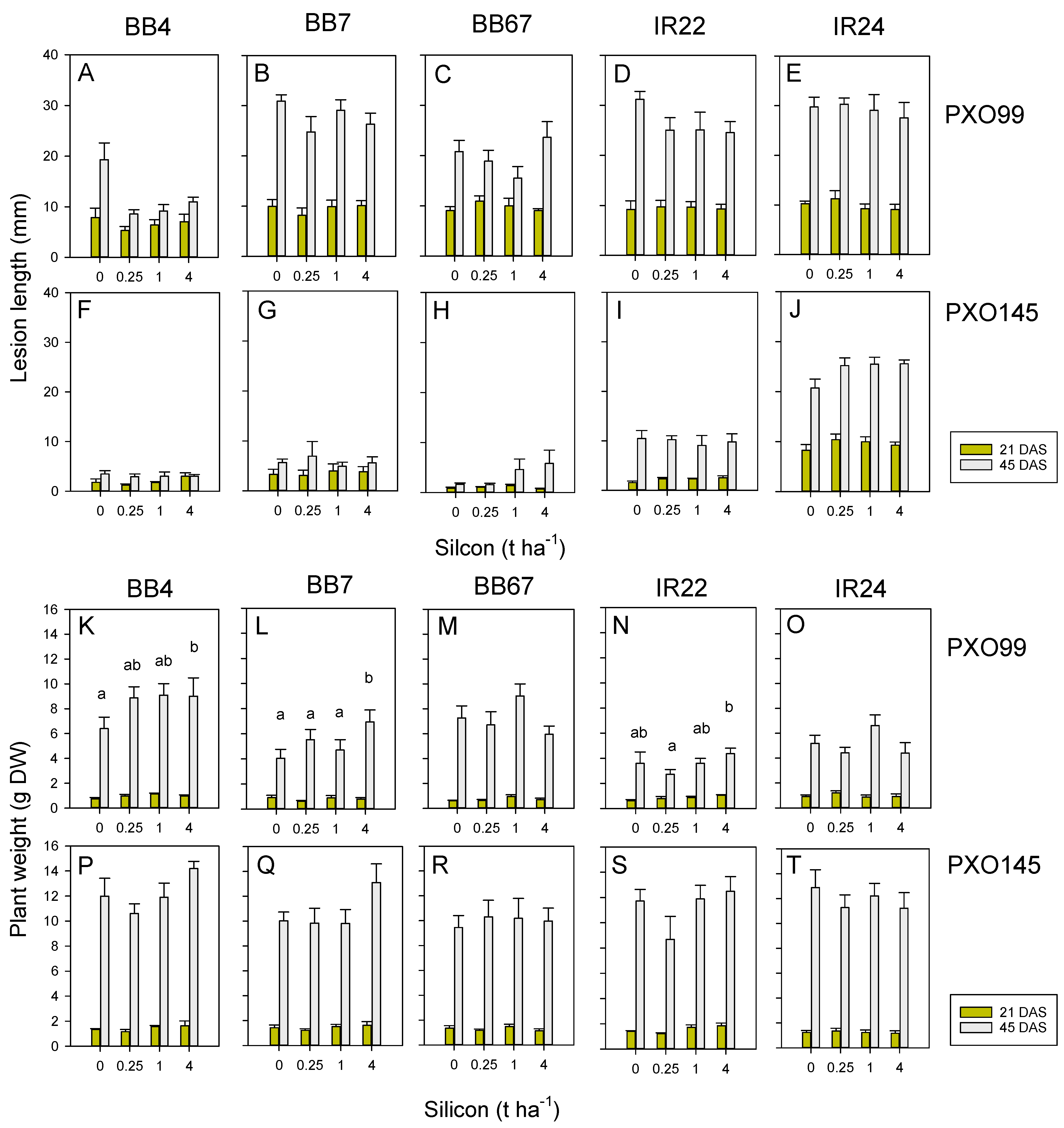 Insects 13 00604 g006