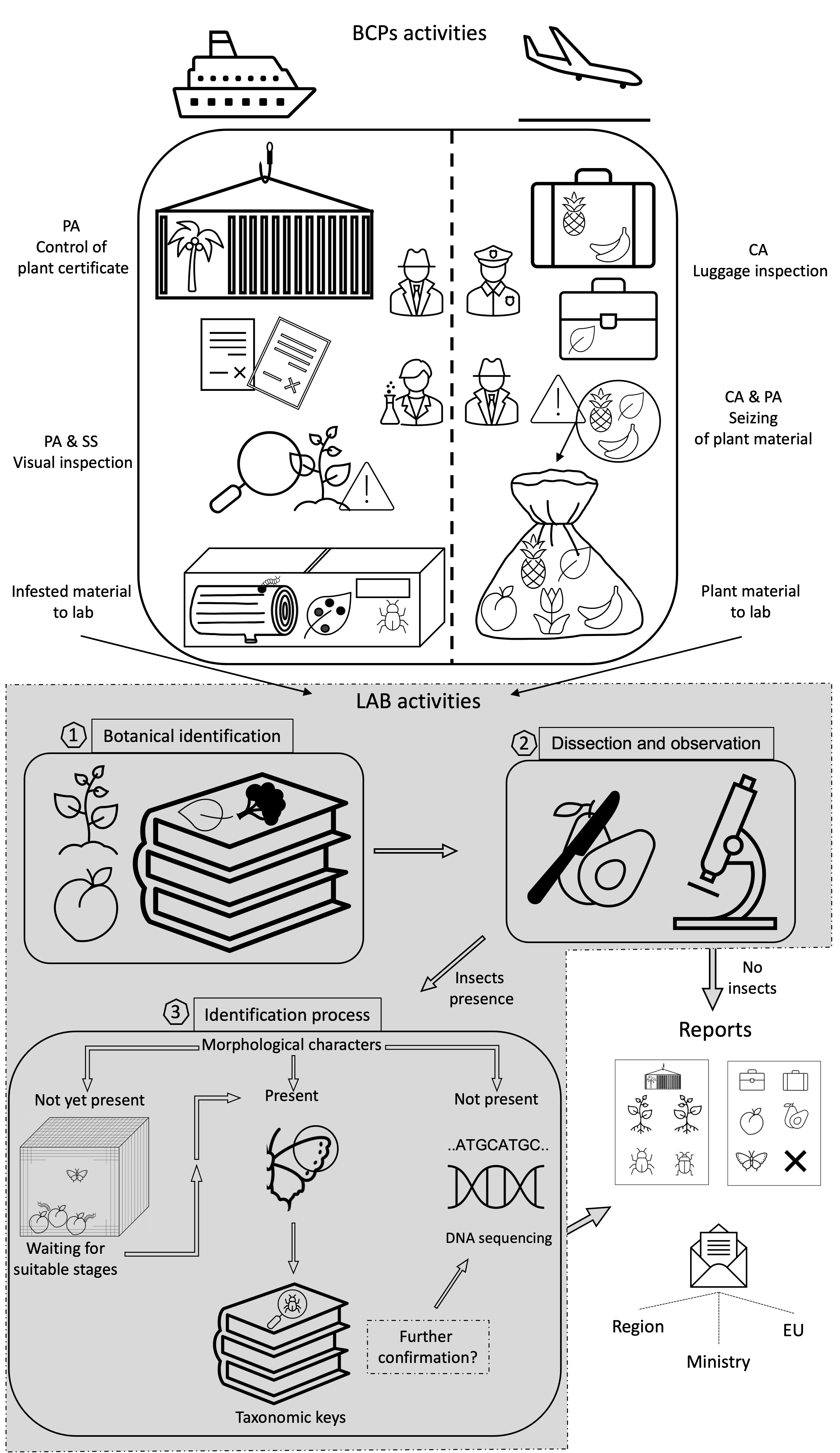 Insects | Free Full-Text | The Bugs in the Bags: The Risk