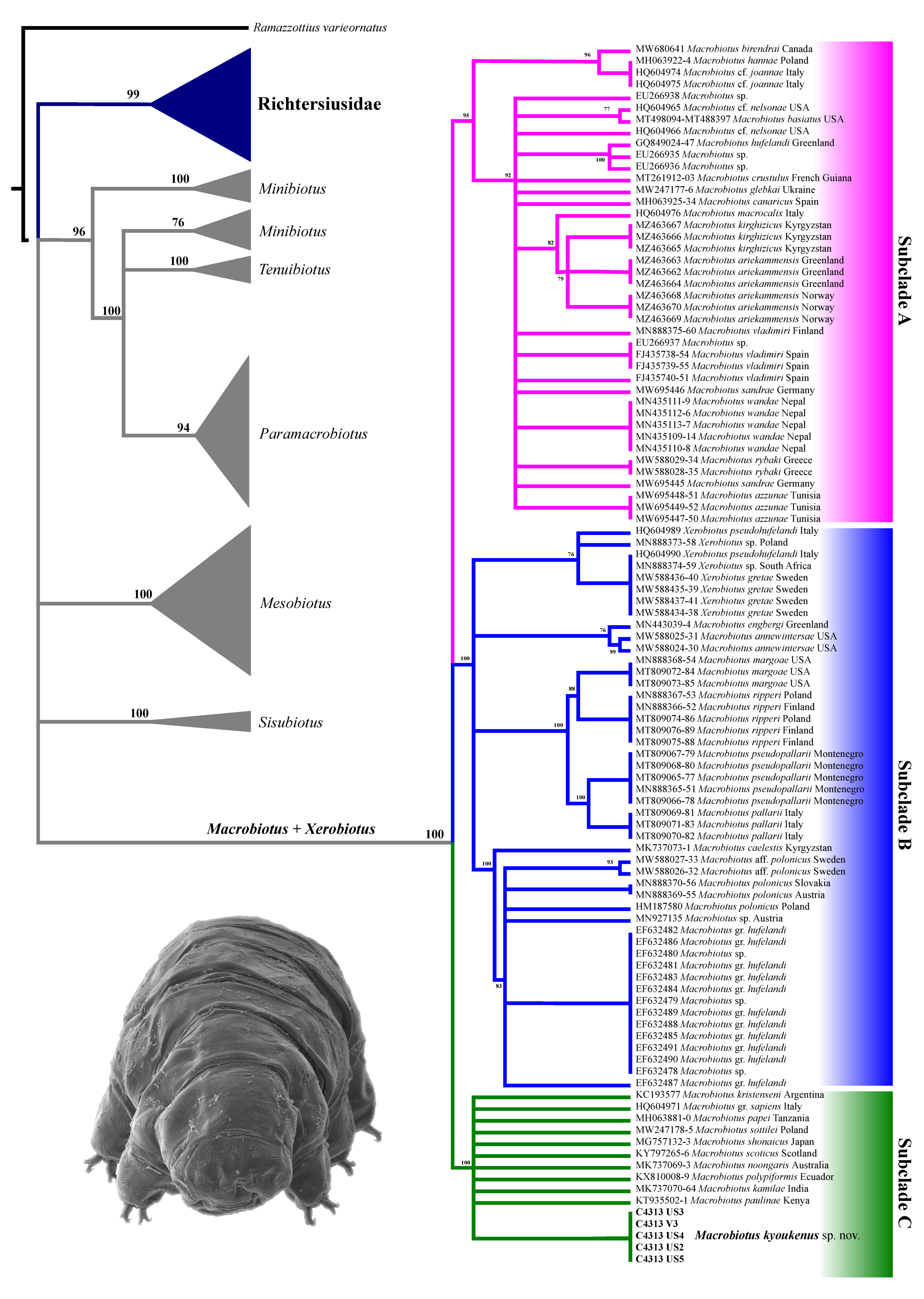 Insects 13 00634 g005