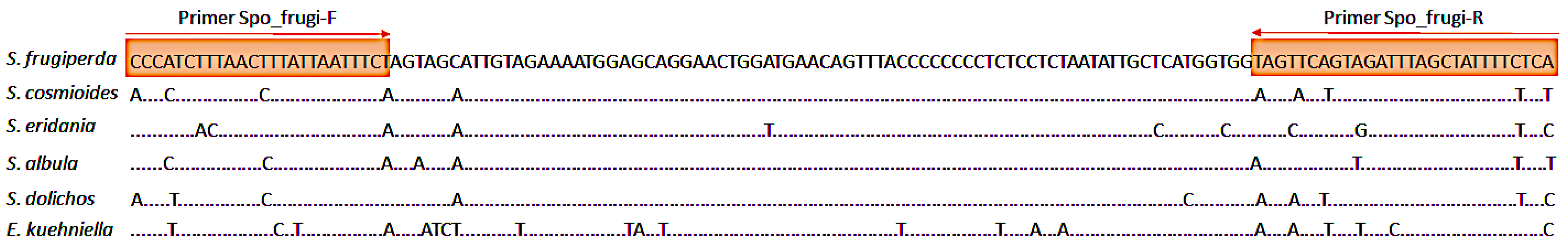 Insects 13 00635 g001 Insects 13 00635 g001
