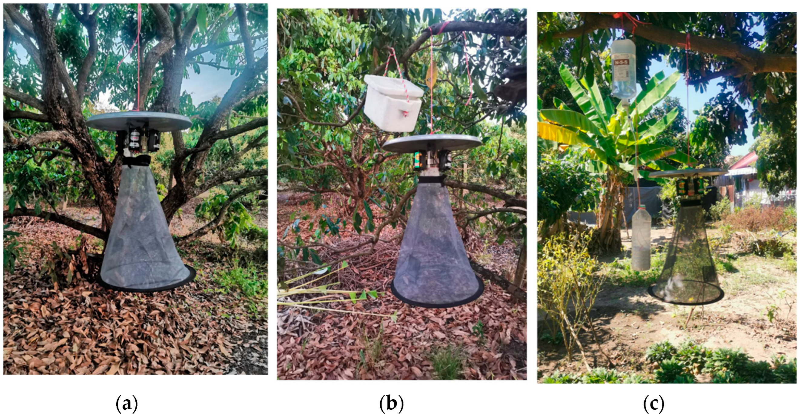 Insects | Free Full-Text | A Simple CO2 Generating System Incorporated with  CDC Light Trap for Sampling Mosquito Vectors