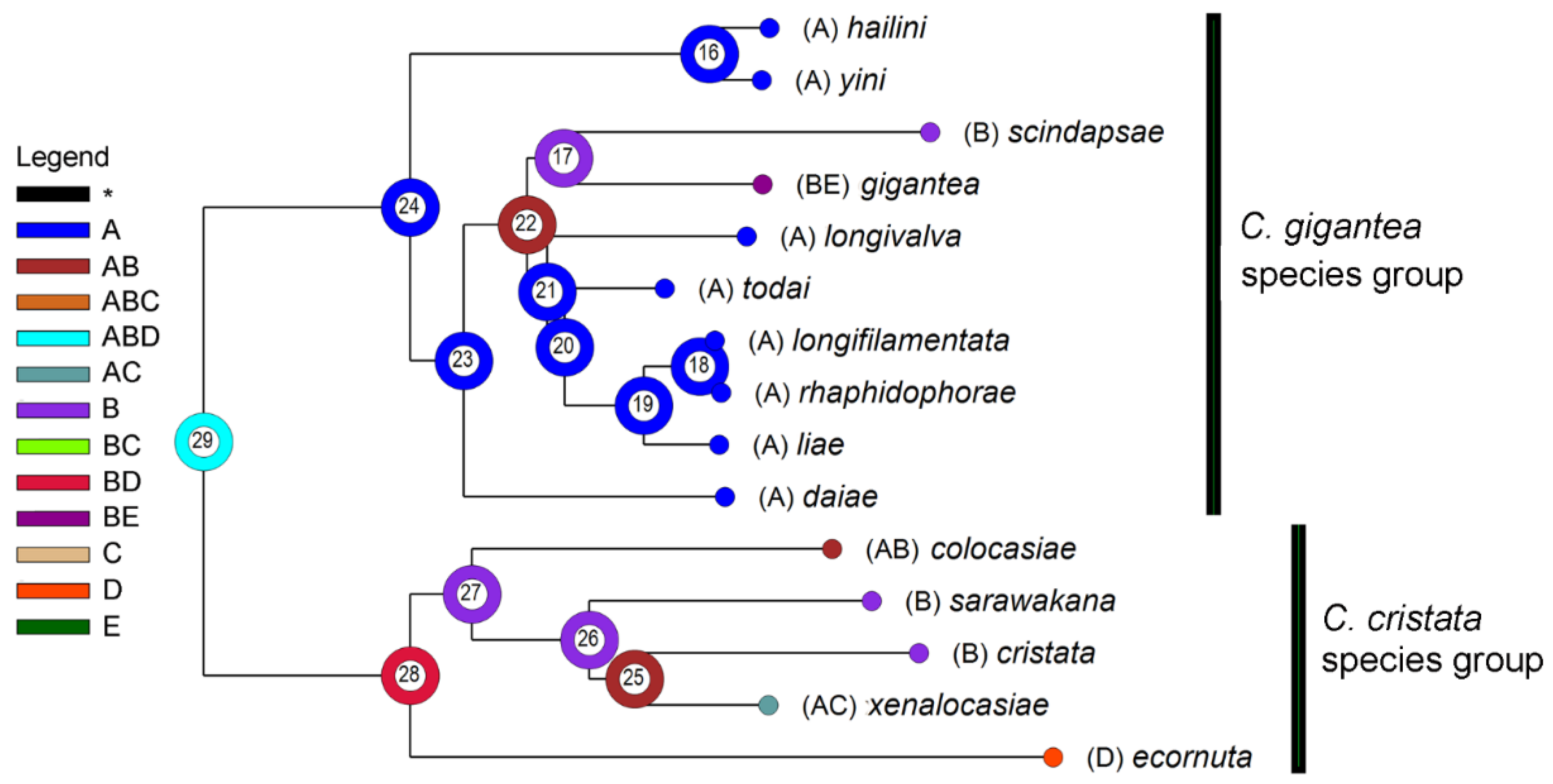 Insects 13 00647 g003