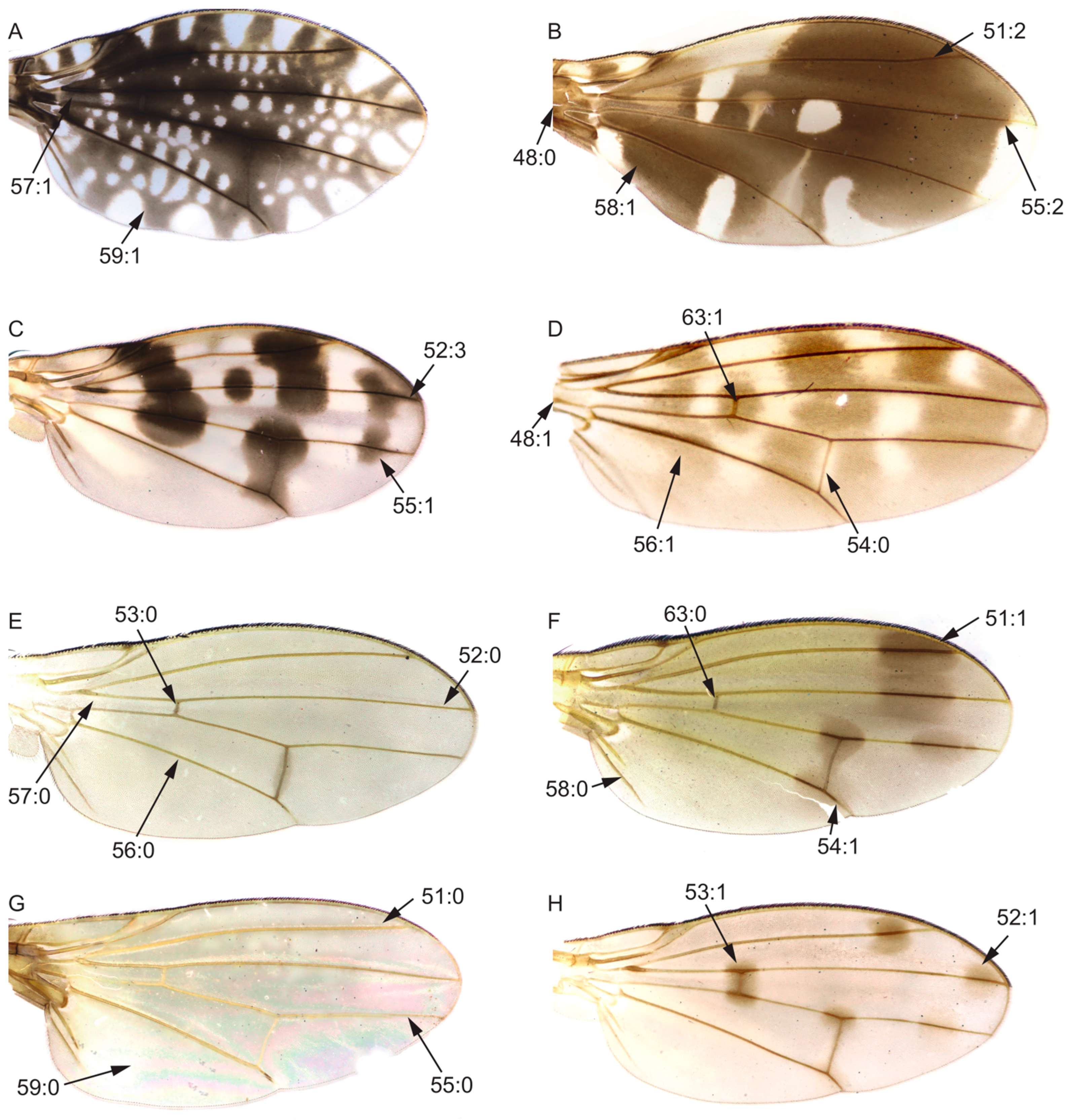 Insects 13 00665 g004 Insects 13 00665 g004