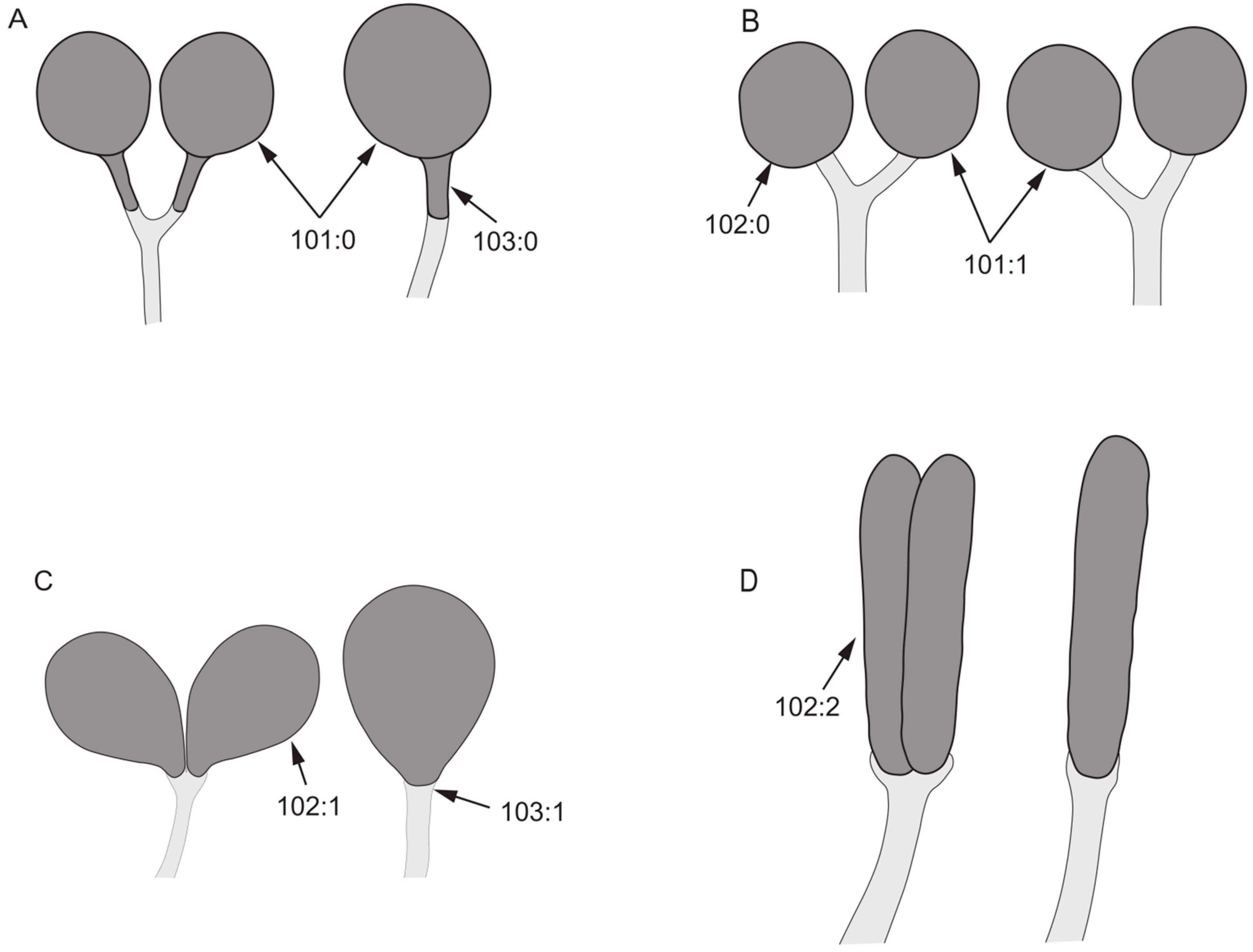 Insects 13 00665 g009 Insects 13 00665 g009
