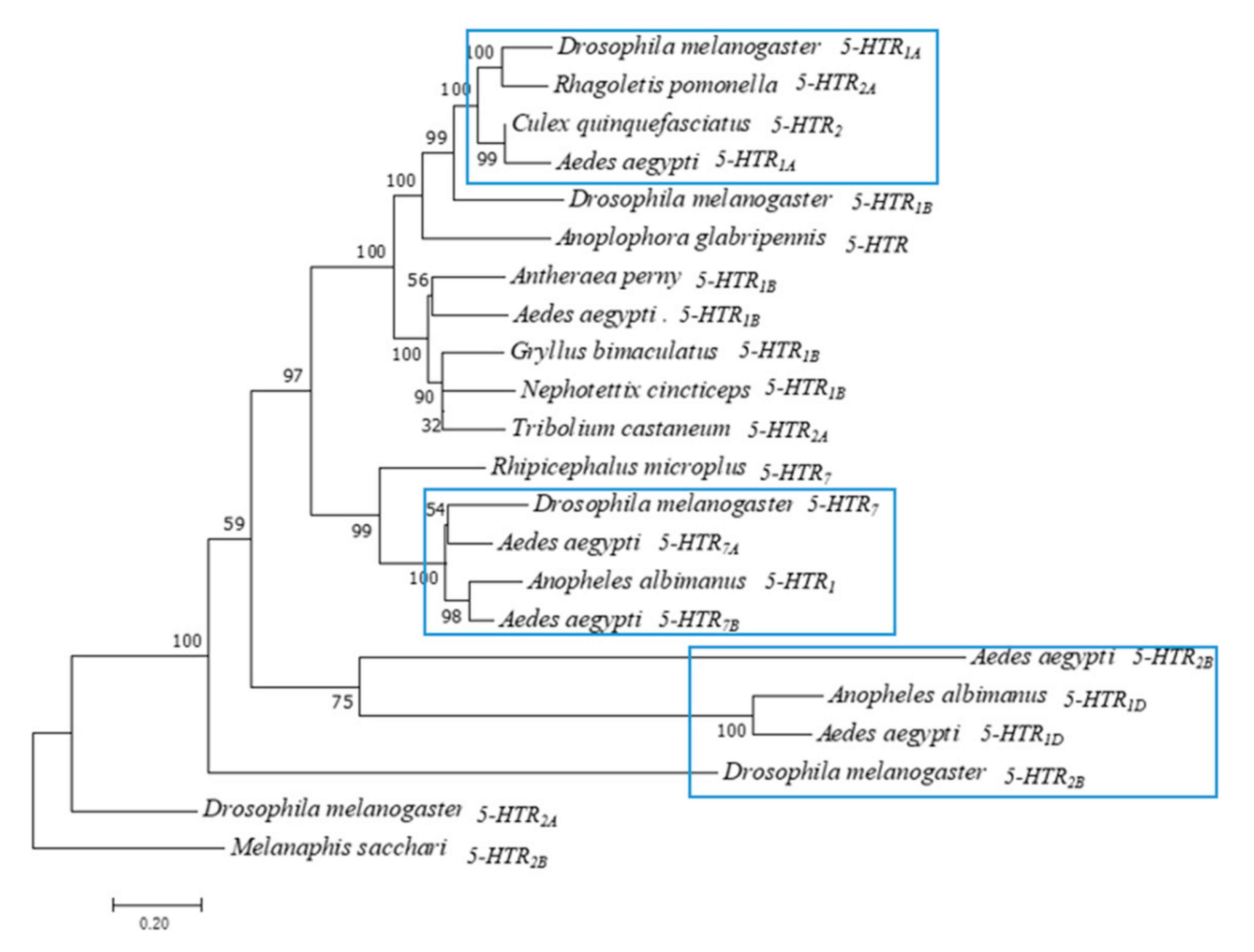 Insects 13 00671 g001