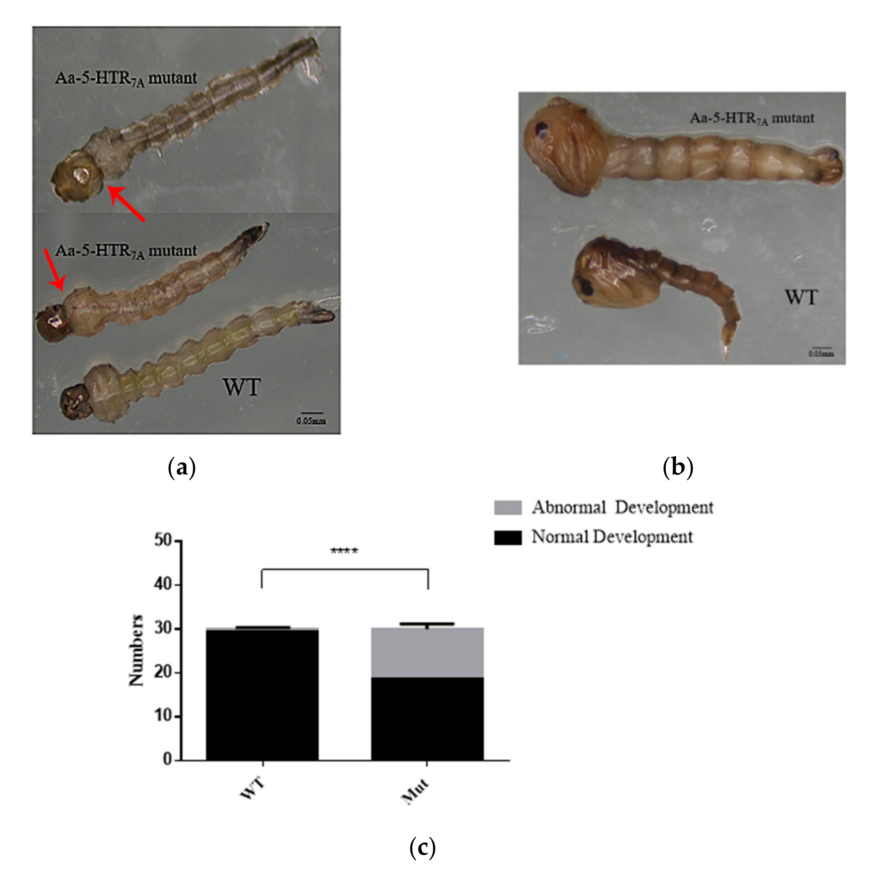 Insects 13 00671 g004