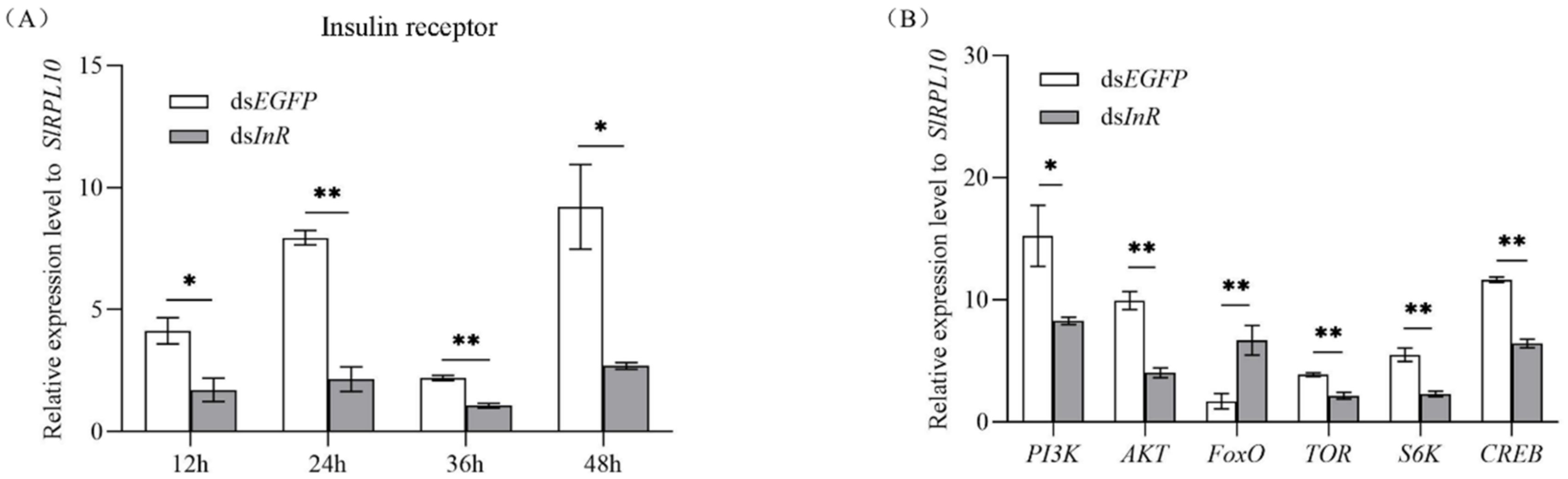 Insects 13 00701 g002