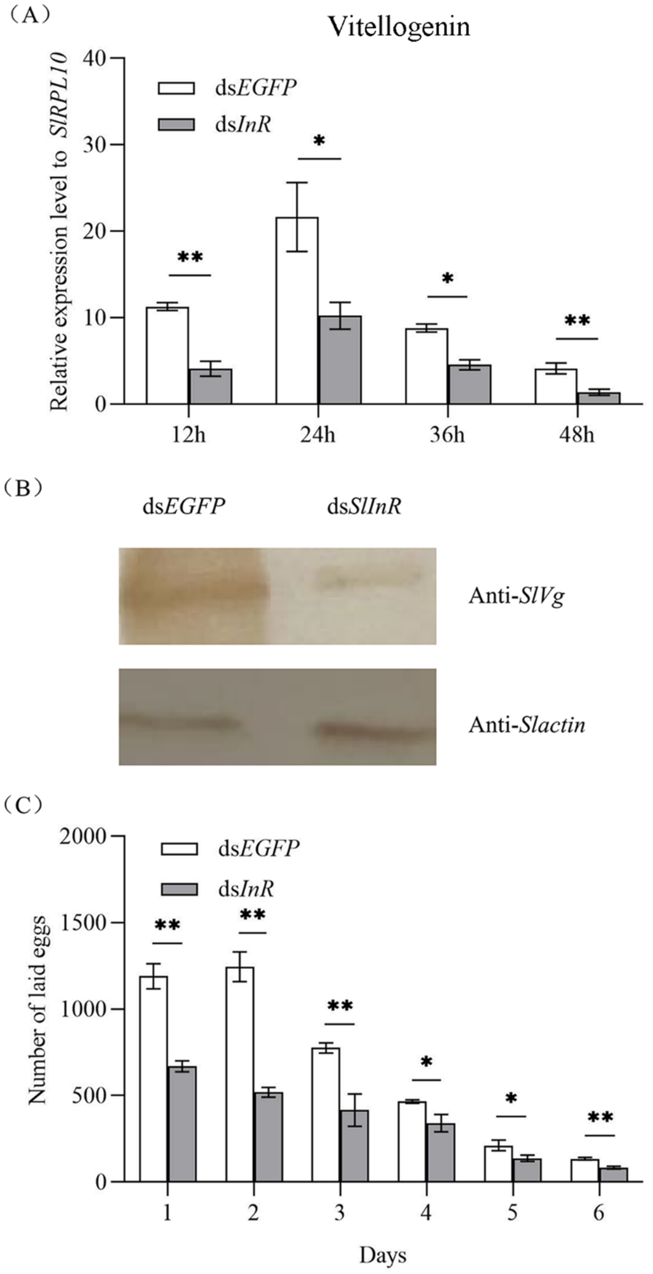 Insects 13 00701 g004